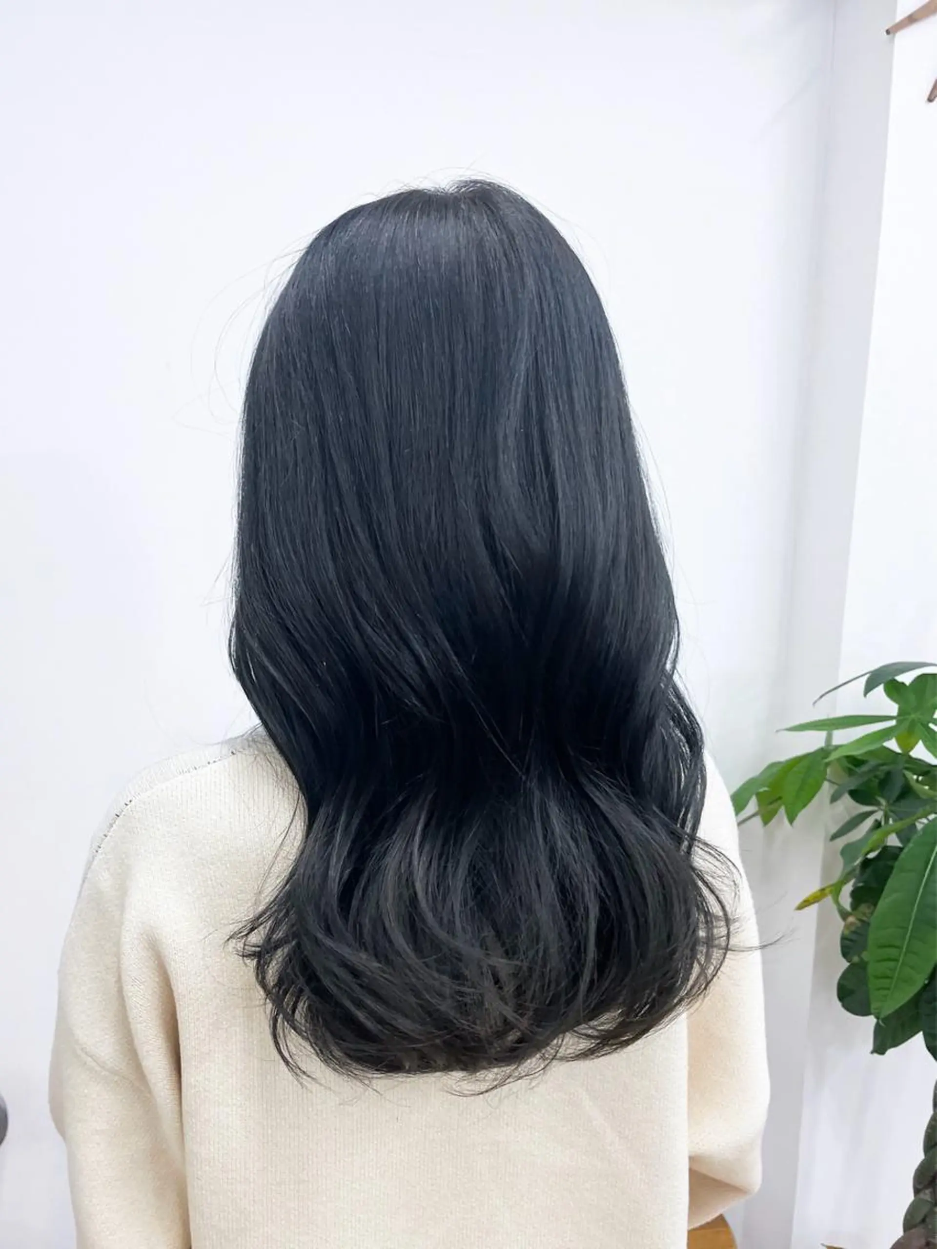 セミロング カラー パーマ ヘアアレンジ メンズ キッズ ネイル マツエク・マツパ アイブロウ メンズインナーカラー メンズ韓国風 黒髪 ブルーカラー ブルーブラック 渋谷レイヤーカット❌ 縮毛矯正専門/武田涼のヘアスタイル