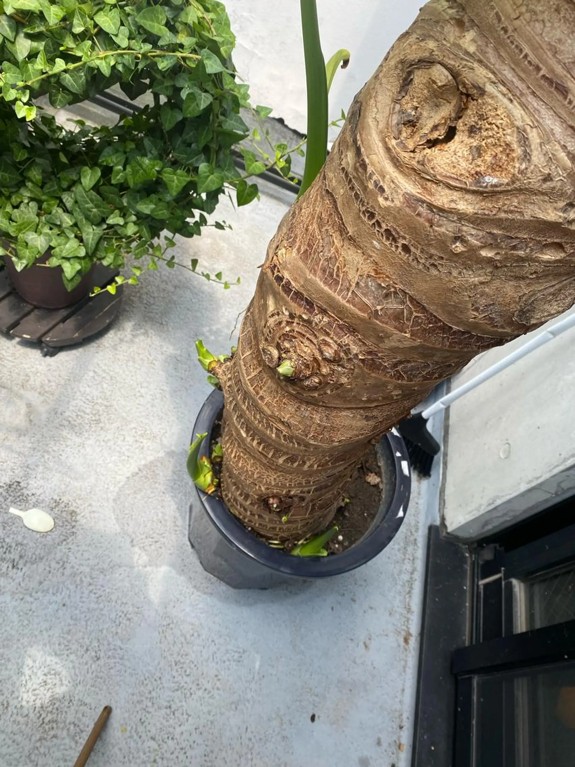 Mandarin Orange所属・毛穴から始める肌メン テマンダリンオレンジのエステ・リラクイメージ