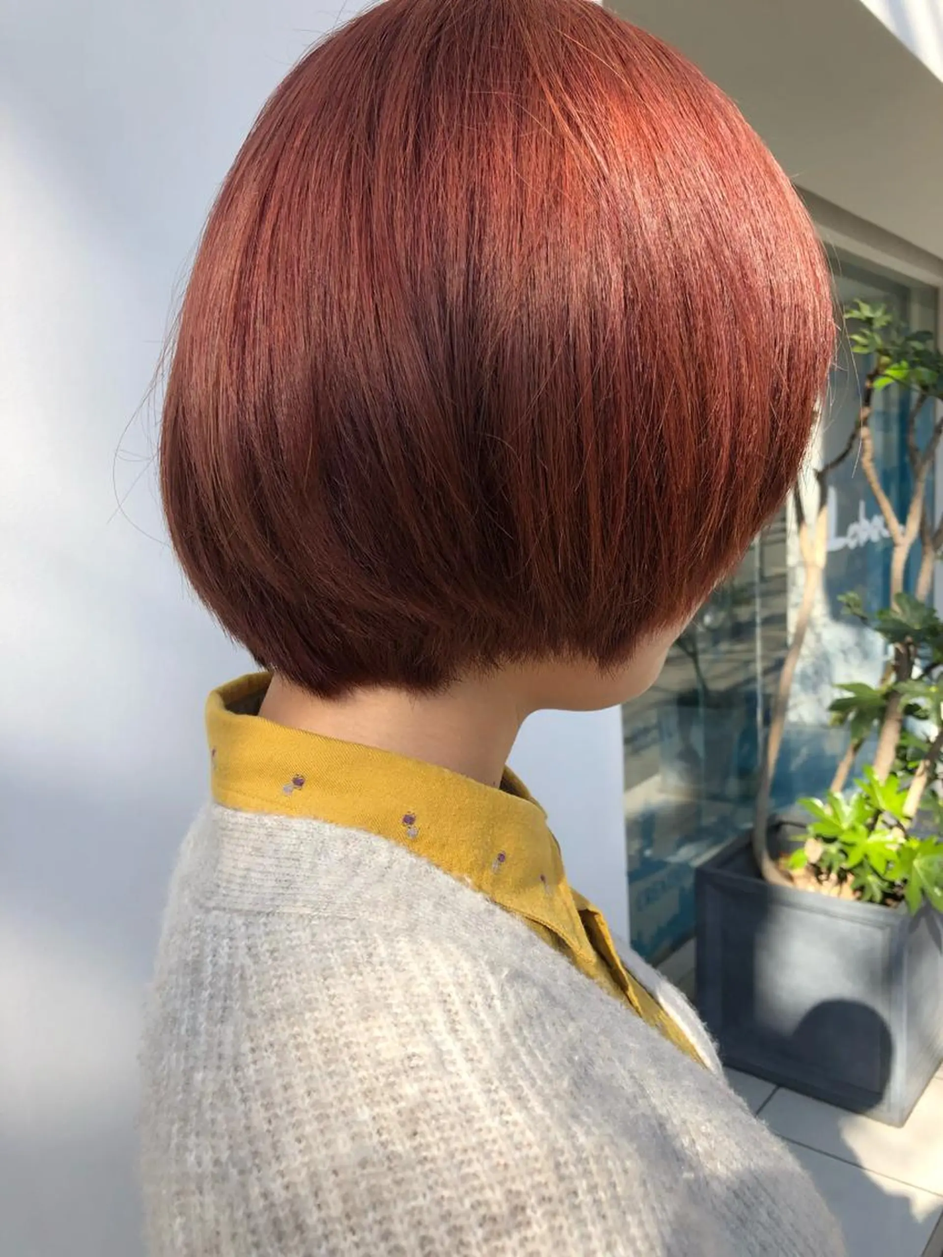 ショート カラー ショートボブ オレンジ ボブ ショートヘア 樋口 雄稀のヘアスタイル