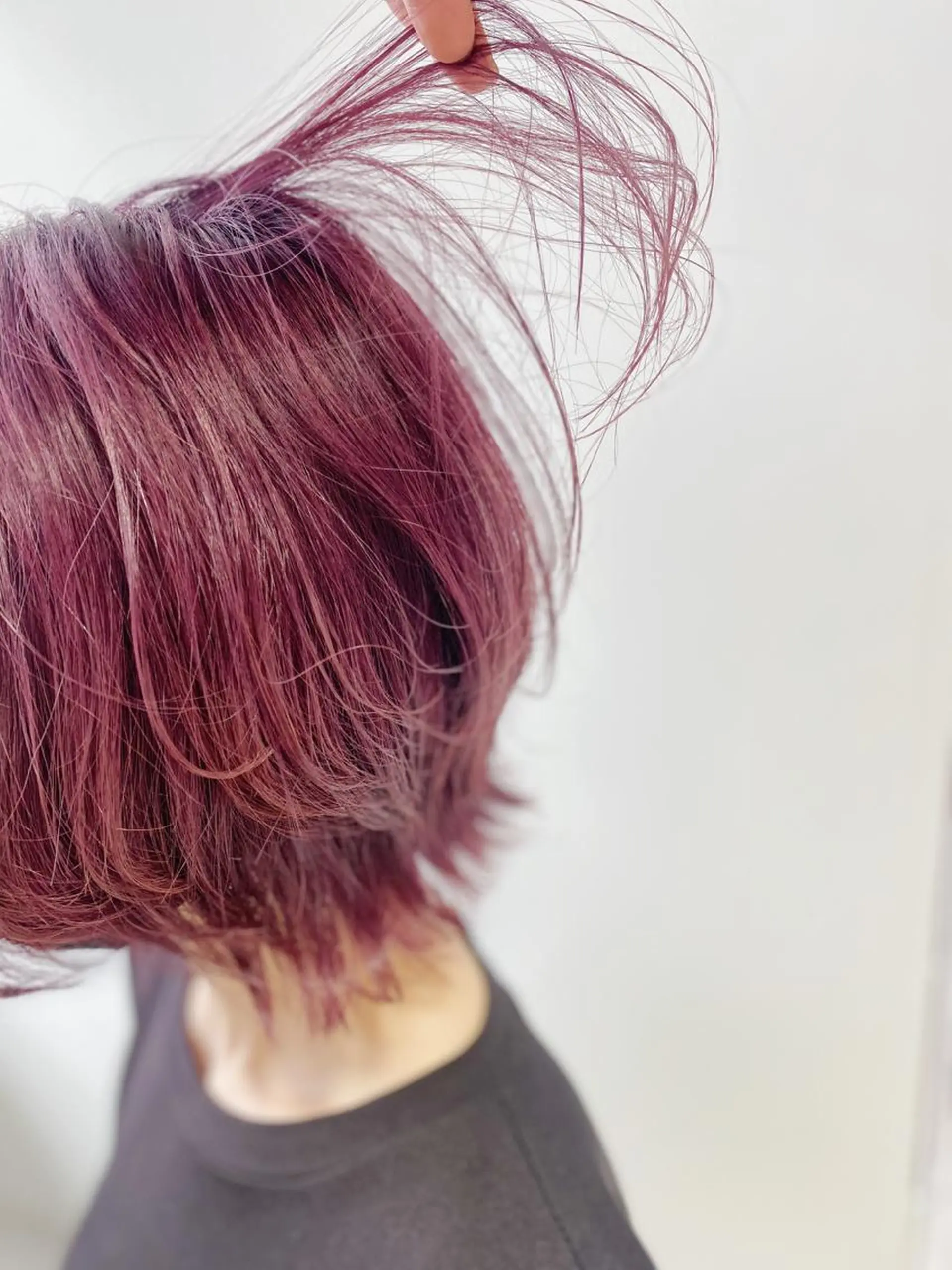 ショート カラー カシス ピンクカラー ボブ ウルフカット カット ヘアカラー 新井 広之のヘアスタイル