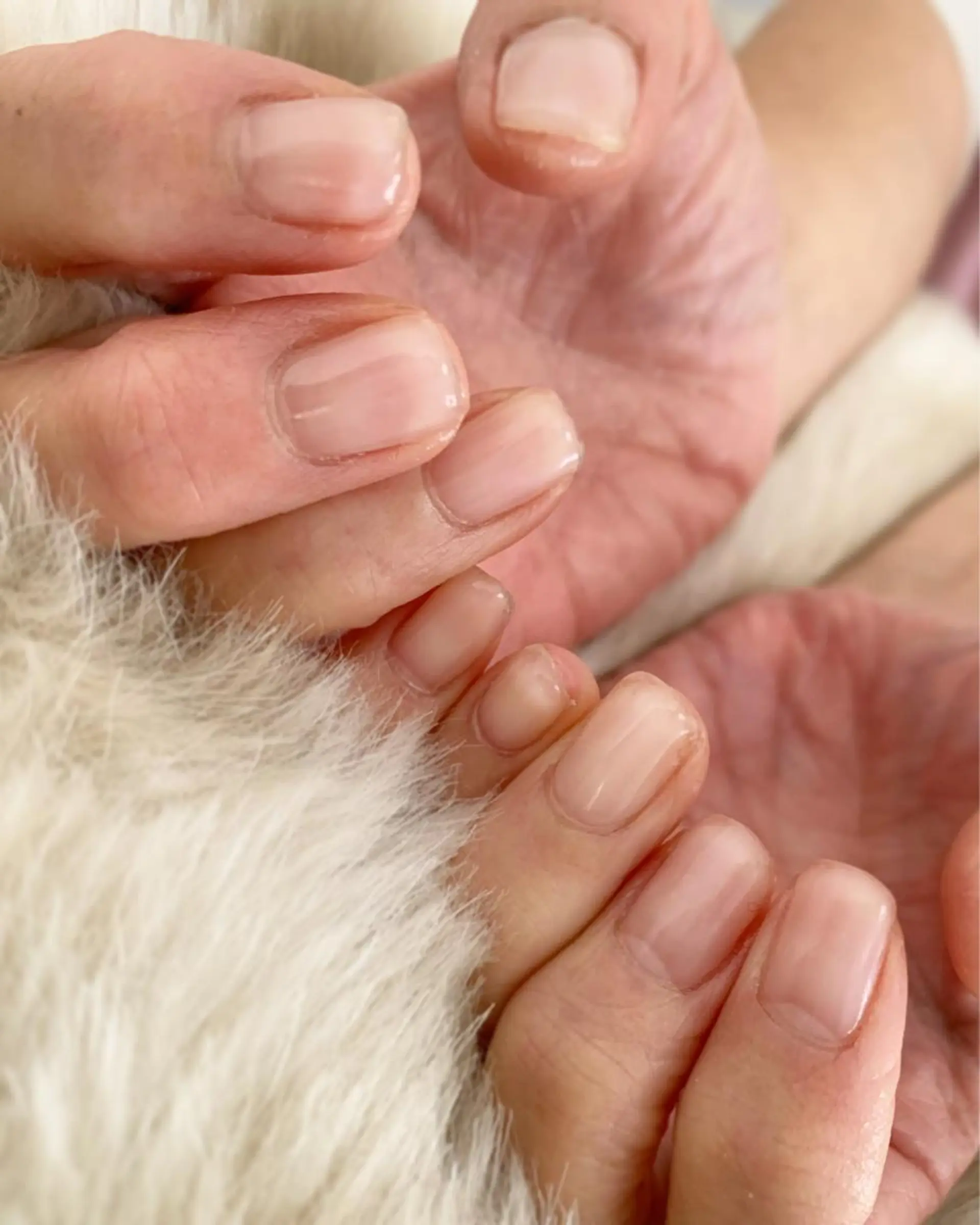 ネイル private nail salon   Amily所属・竹澤 紫乃のその他イメージ