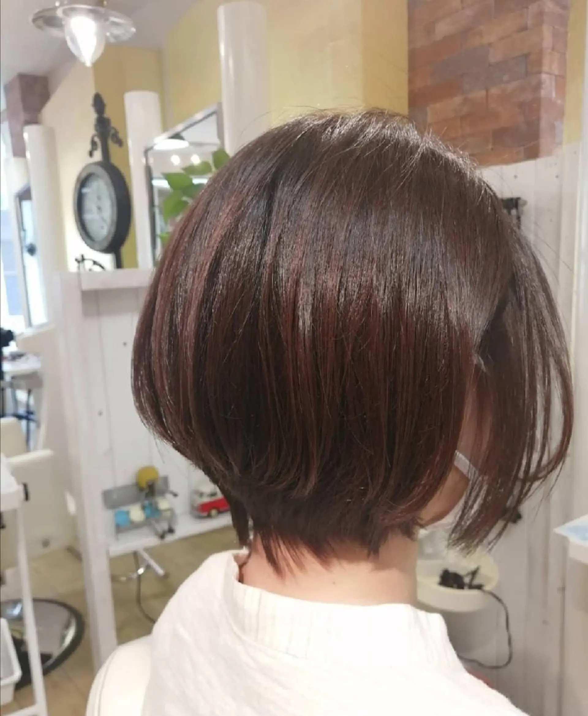 ショート カラー ショートボブ ボブ ショートヘア 野田 茉希のヘアスタイル