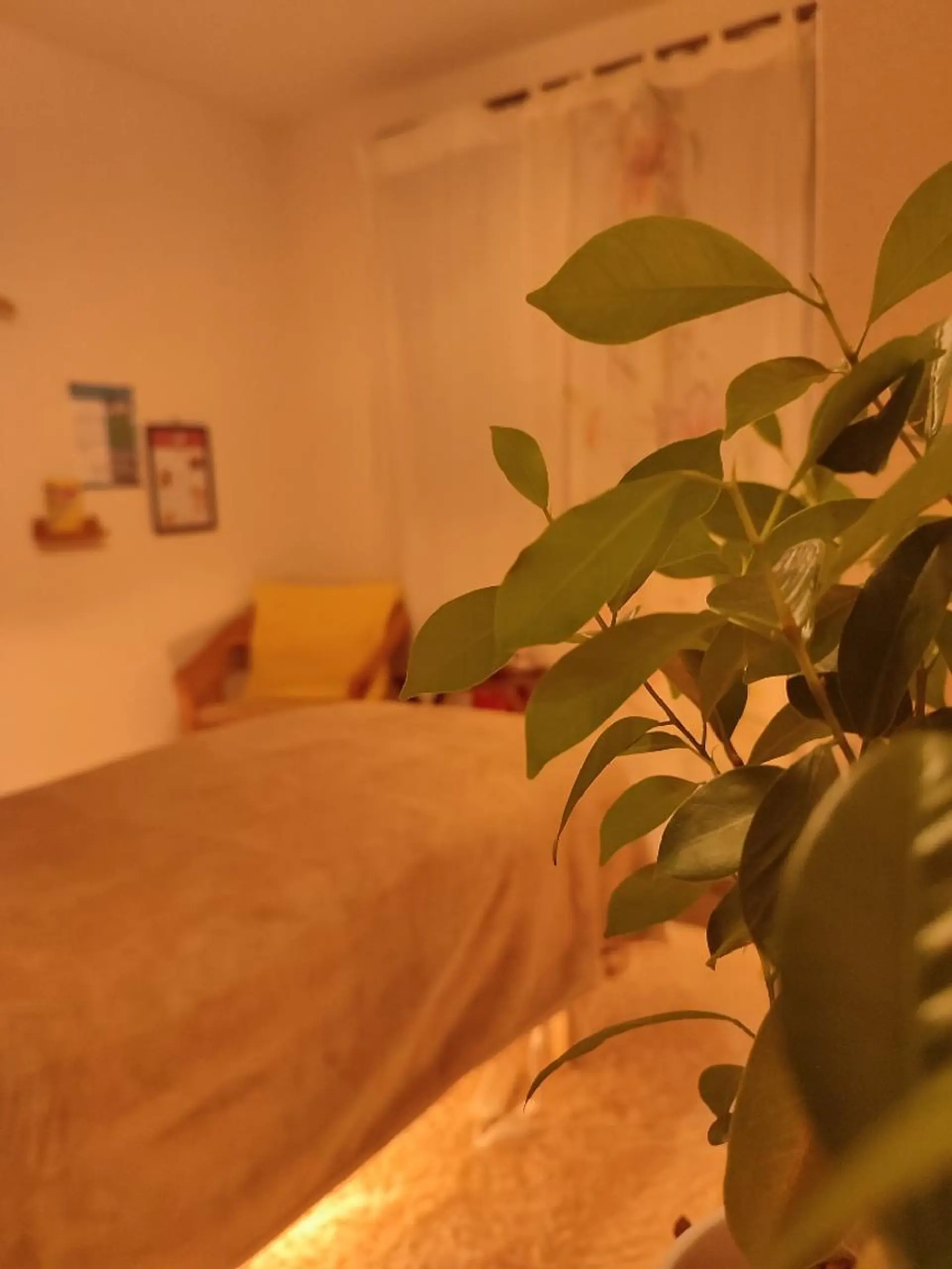 環＋tamaki 占部ひろこのエステ・リラクイメージ