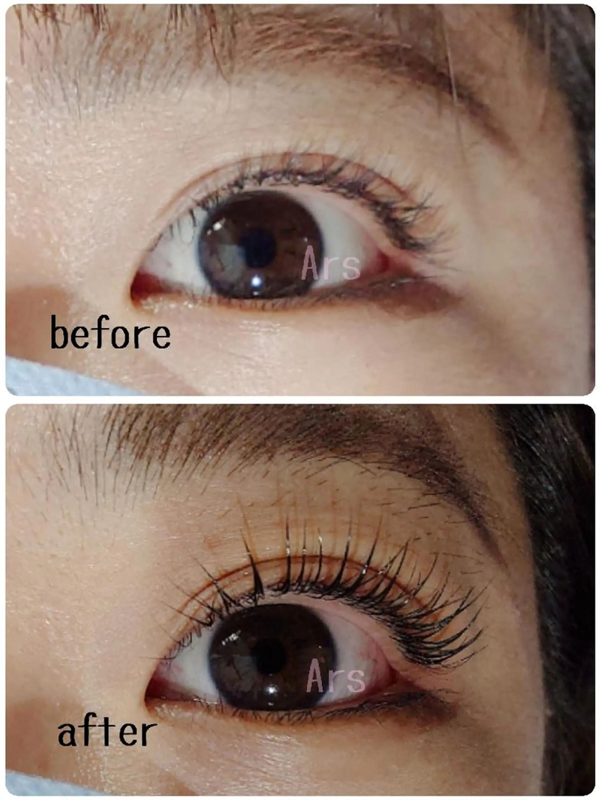 マツエク・マツパ アイリッドアップパーマ Ars (アルス)所属・Ars (アルス)のマツエク・マツパデザイン