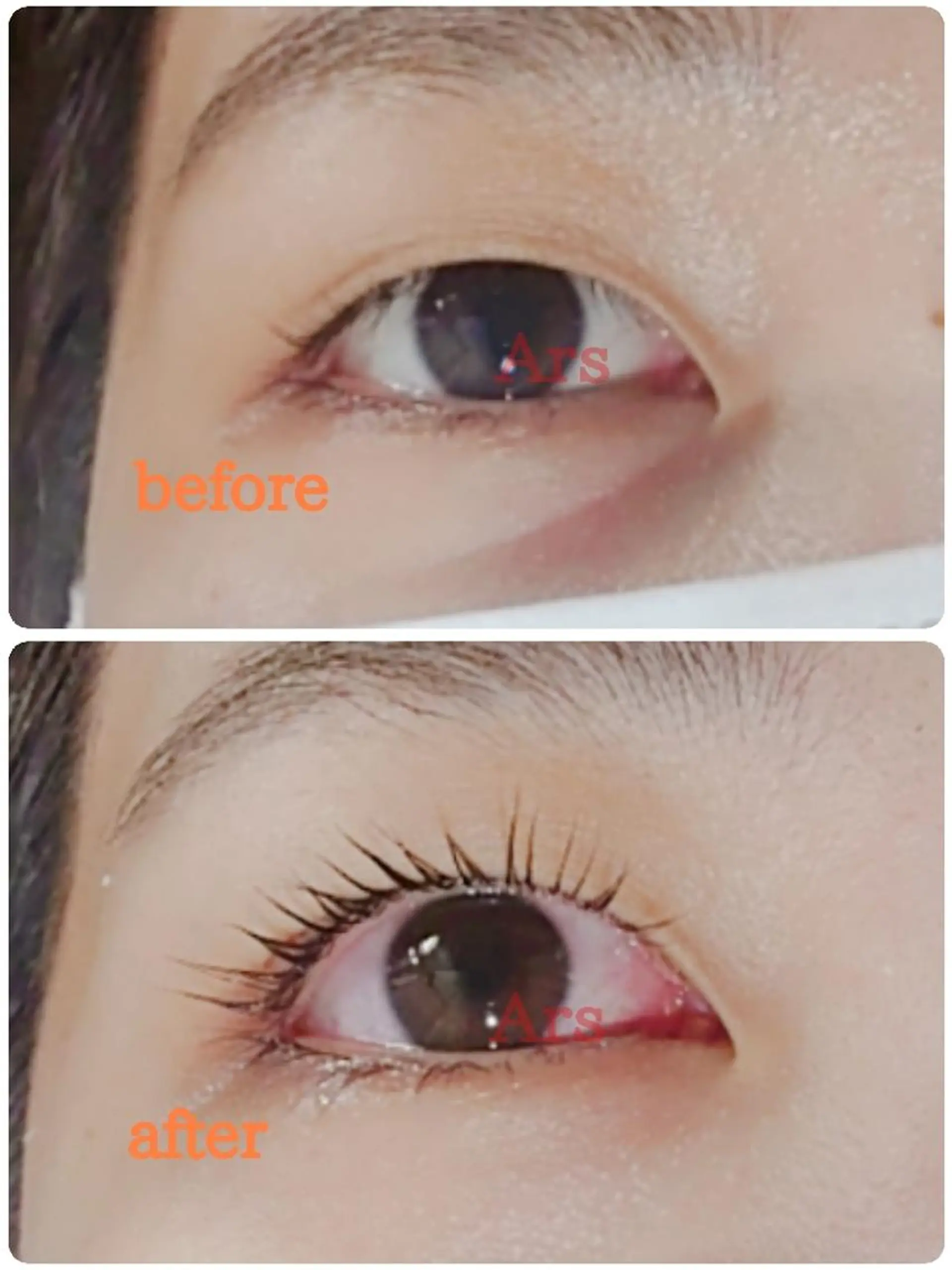 マツエク・マツパ アイリッドアップパーマ Ars      (ｱﾙｽ)のマツエク・マツパデザイン