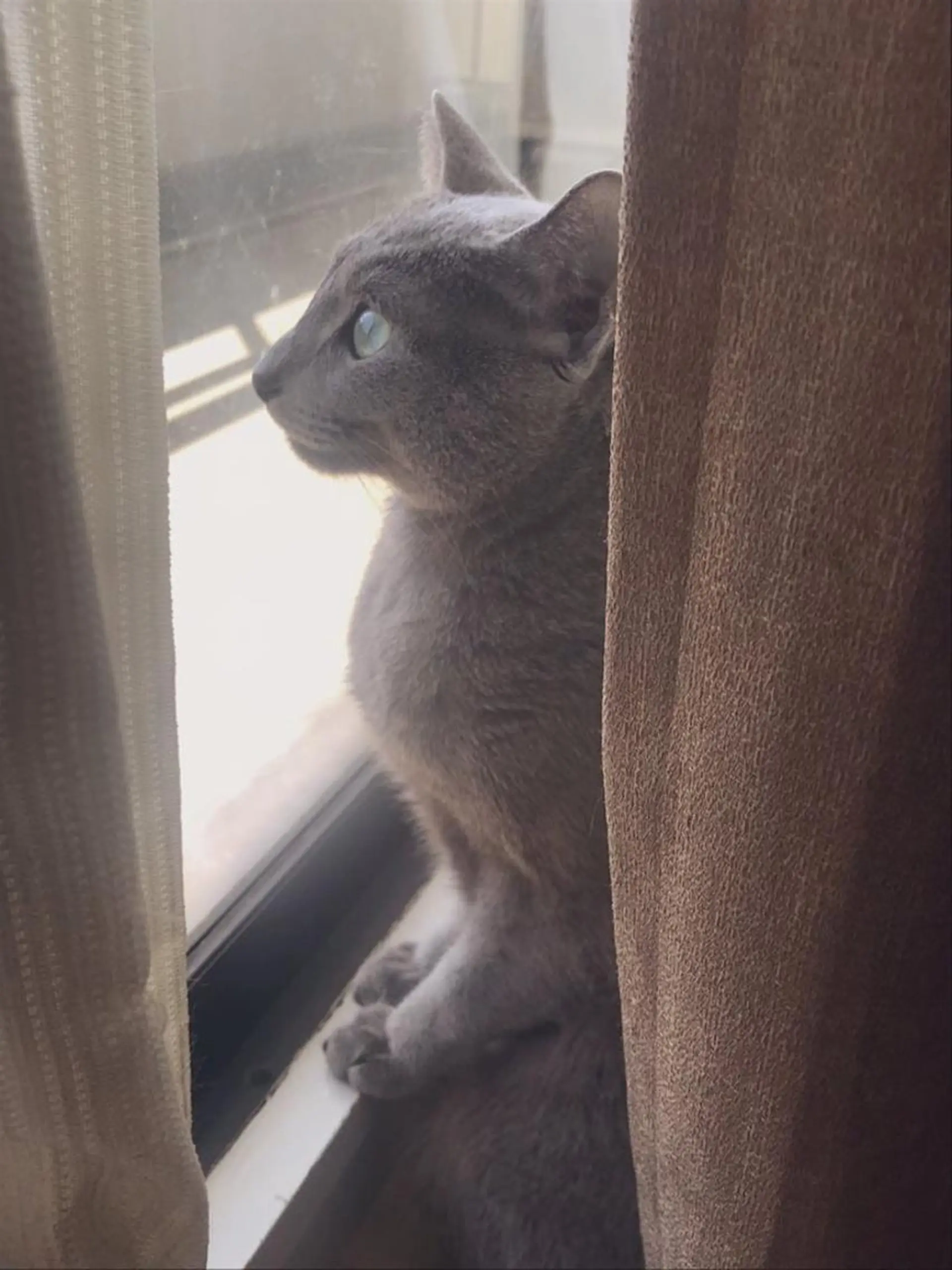 ショート カラー パーマ ヘアアレンジ メンズ キッズ ネイル マツエク・マツパ アニメ,Vオタク× 即効痩せエステサロンのエステ・リラクイメージ