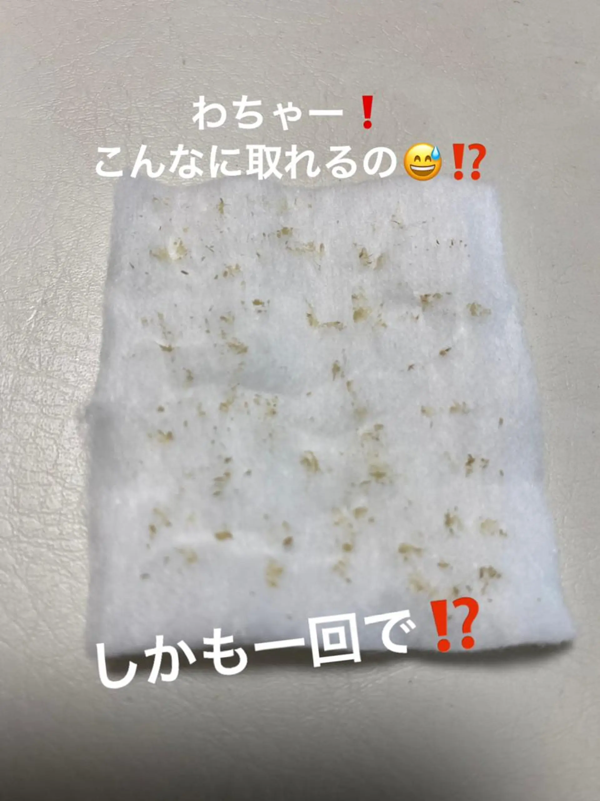 Sugar +K 山中志津香のその他イメージ