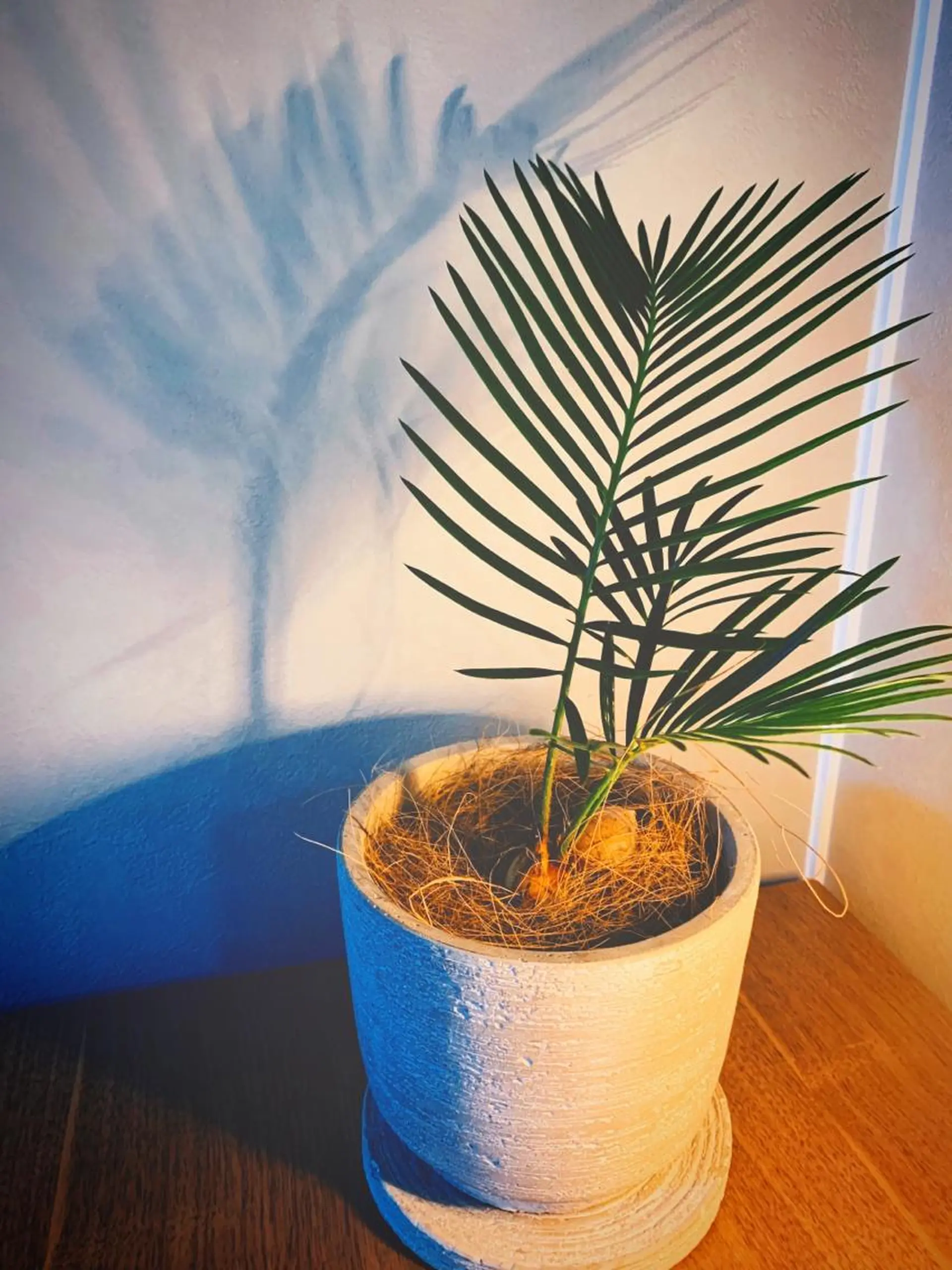 咸 智恵のエステ・リラクイメージ