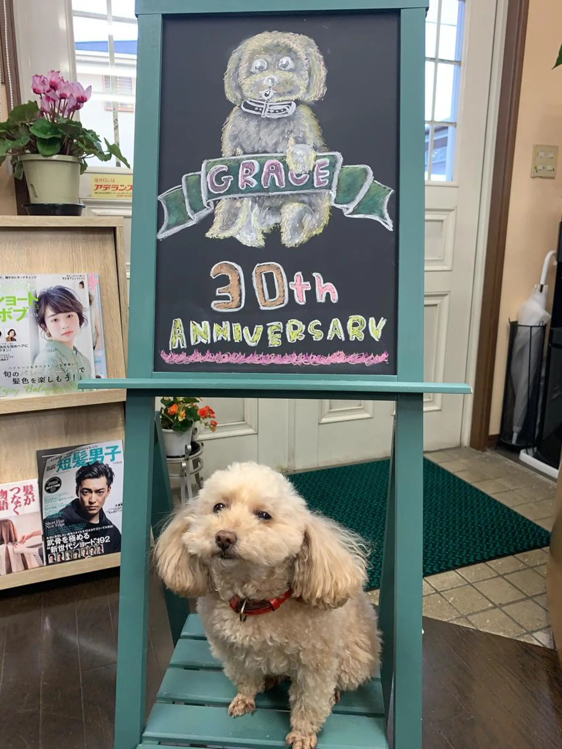 ミディアム カラー メンズ パーマスタジオ グレイス はやとのヘアスタイル