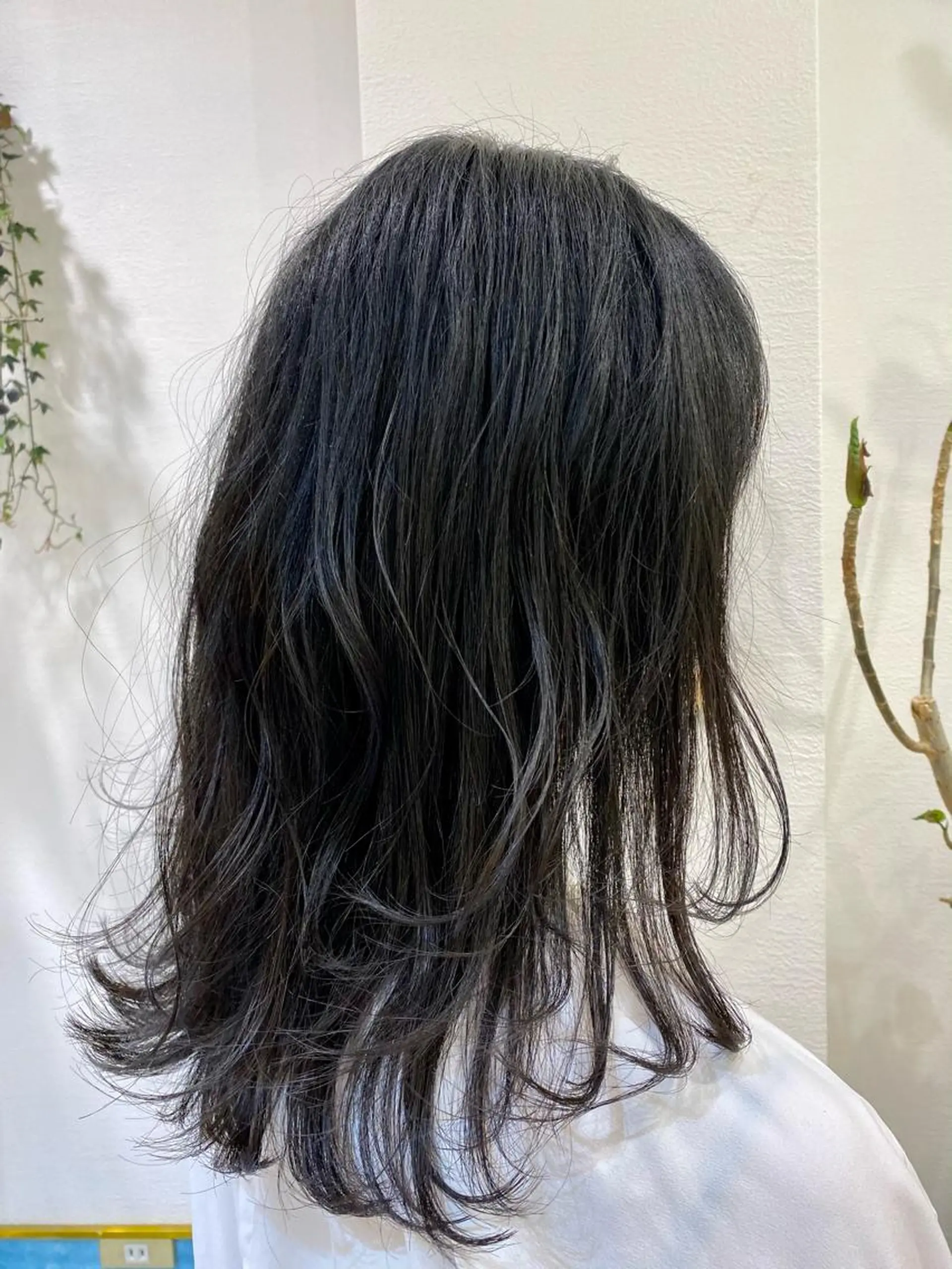 ミディアム カット トリートメント 顔周り/ブリーチなし /縮毛矯正🫧伊勢のヘアスタイル