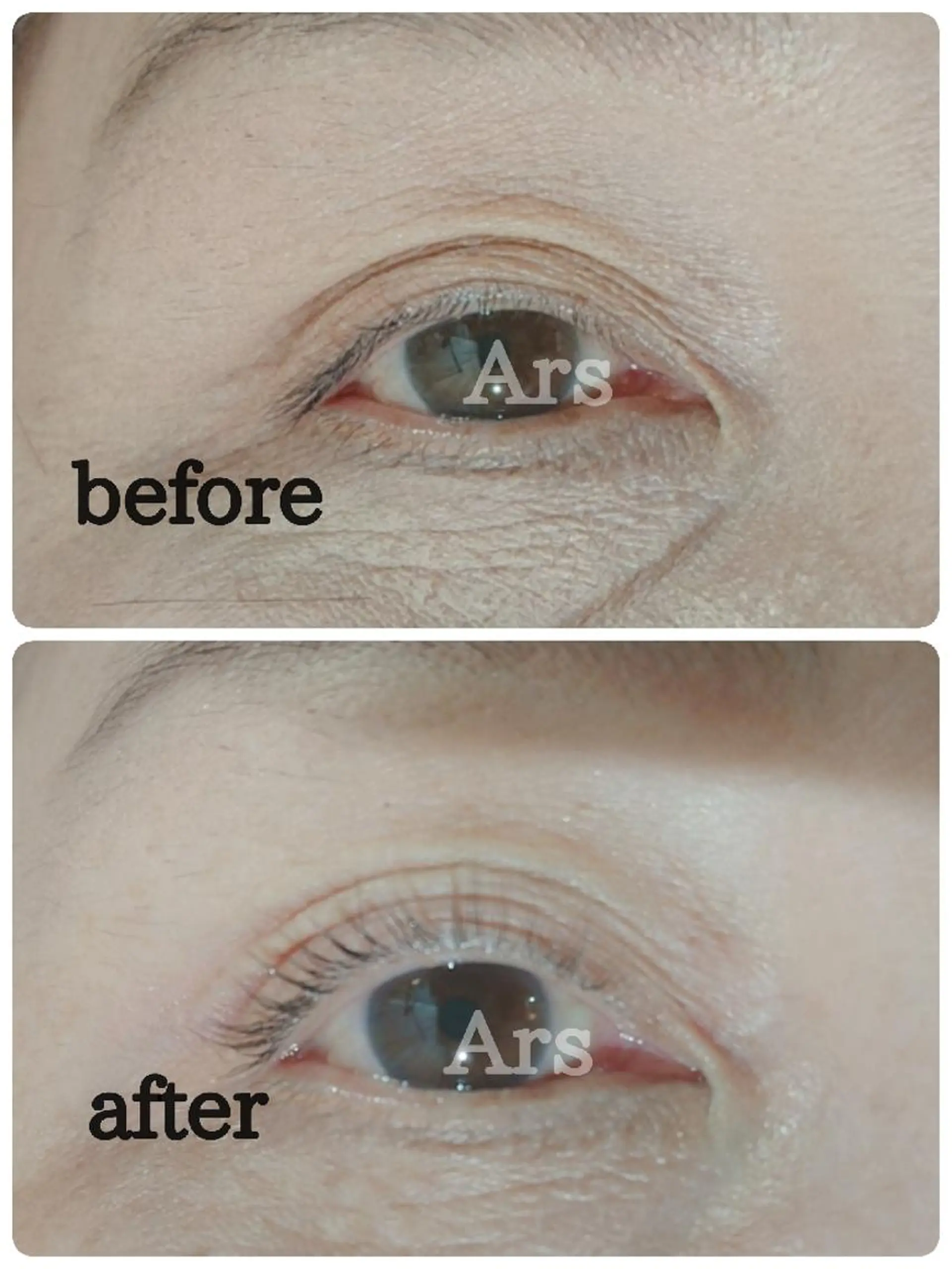 マツエク・マツパ アイリッドアップパーマ Ars      (ｱﾙｽ)のマツエク・マツパデザイン