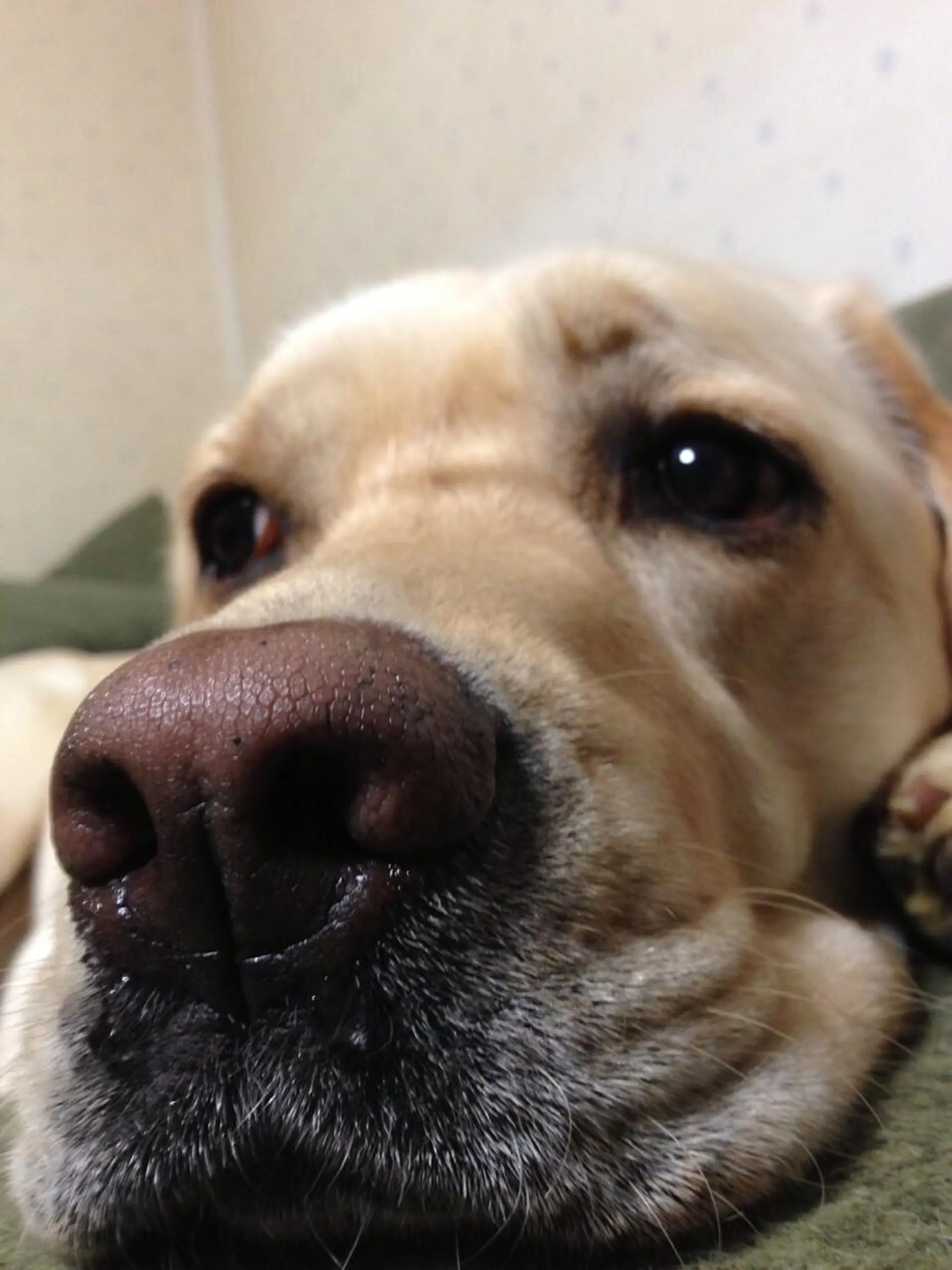 頭浸浴×似合わせ HolyGrailのヘアスタイル