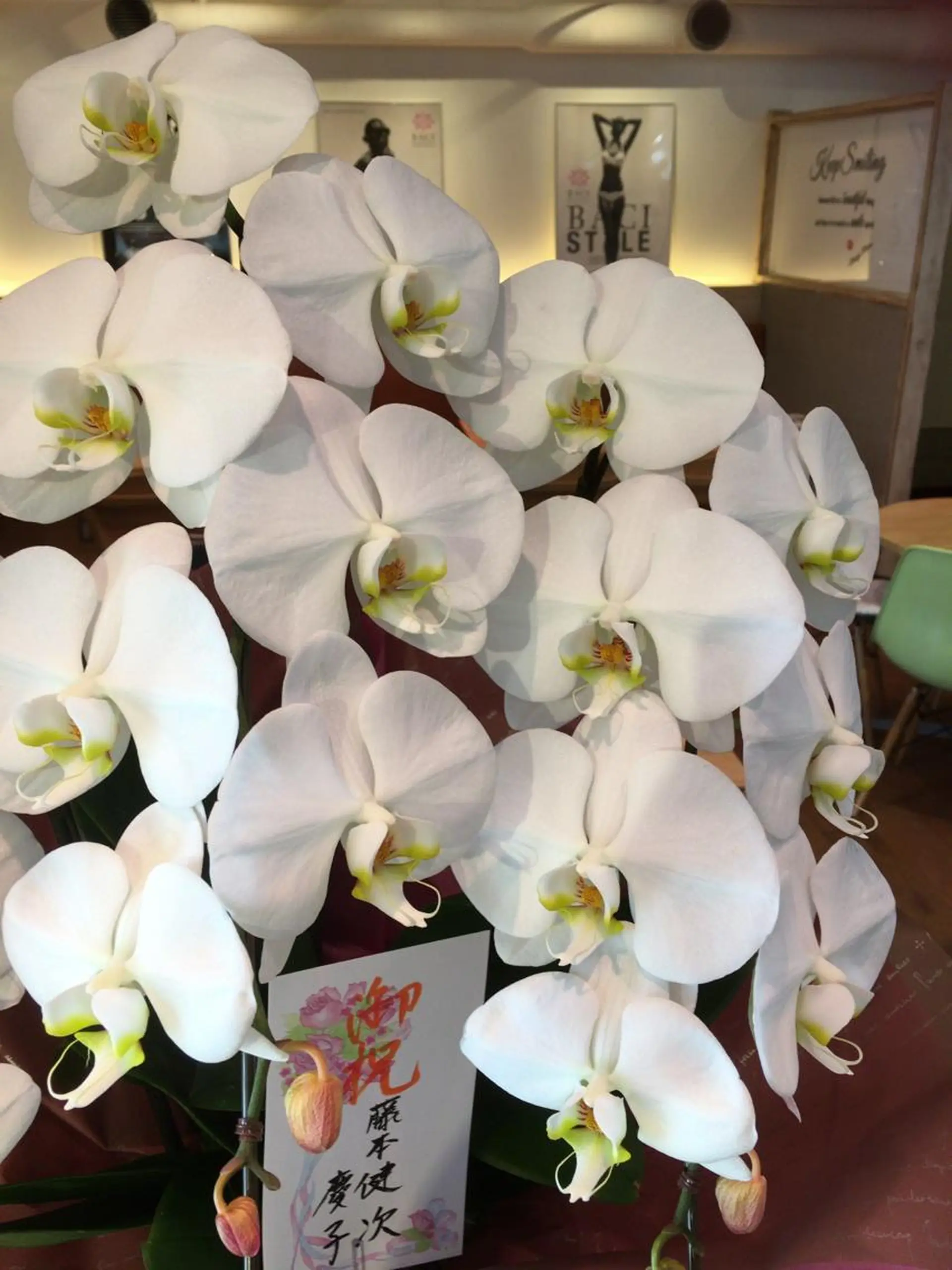 BACI STYLE arthur所属・古川 真弓のエステ・リラクイメージ