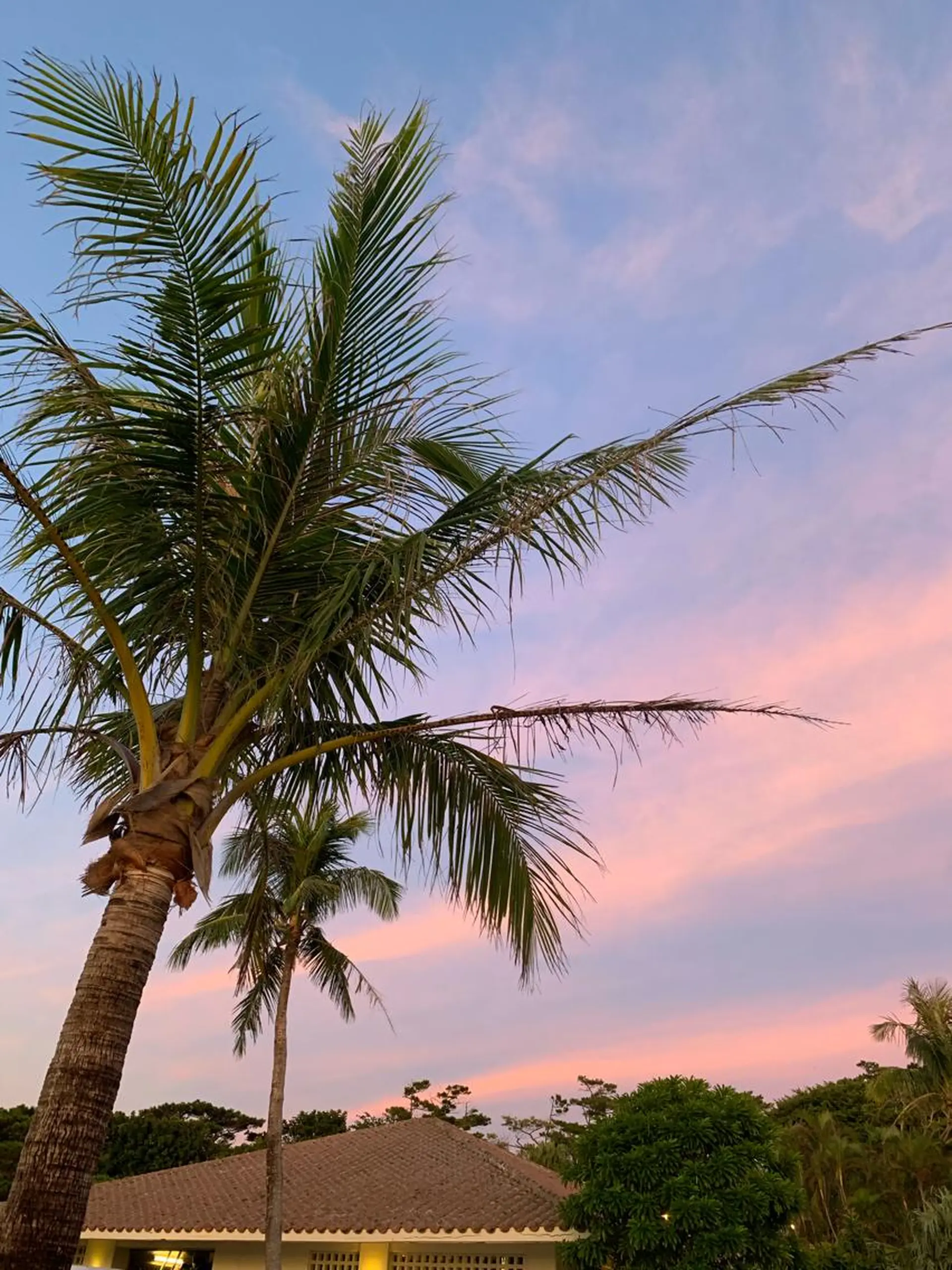 𝐘𝐎𝐒𝐇𝐈 𝐌𝐈🌞🏝のマツエク・マツパデザイン