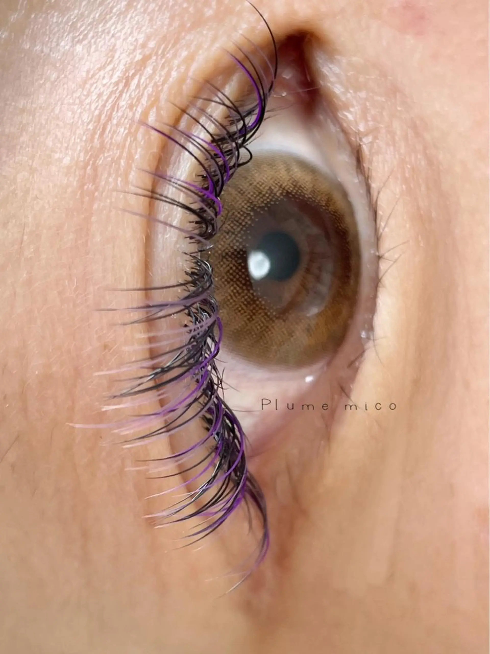 マツエク・マツパ マツエク Plume micoのマツエク・マツパデザイン