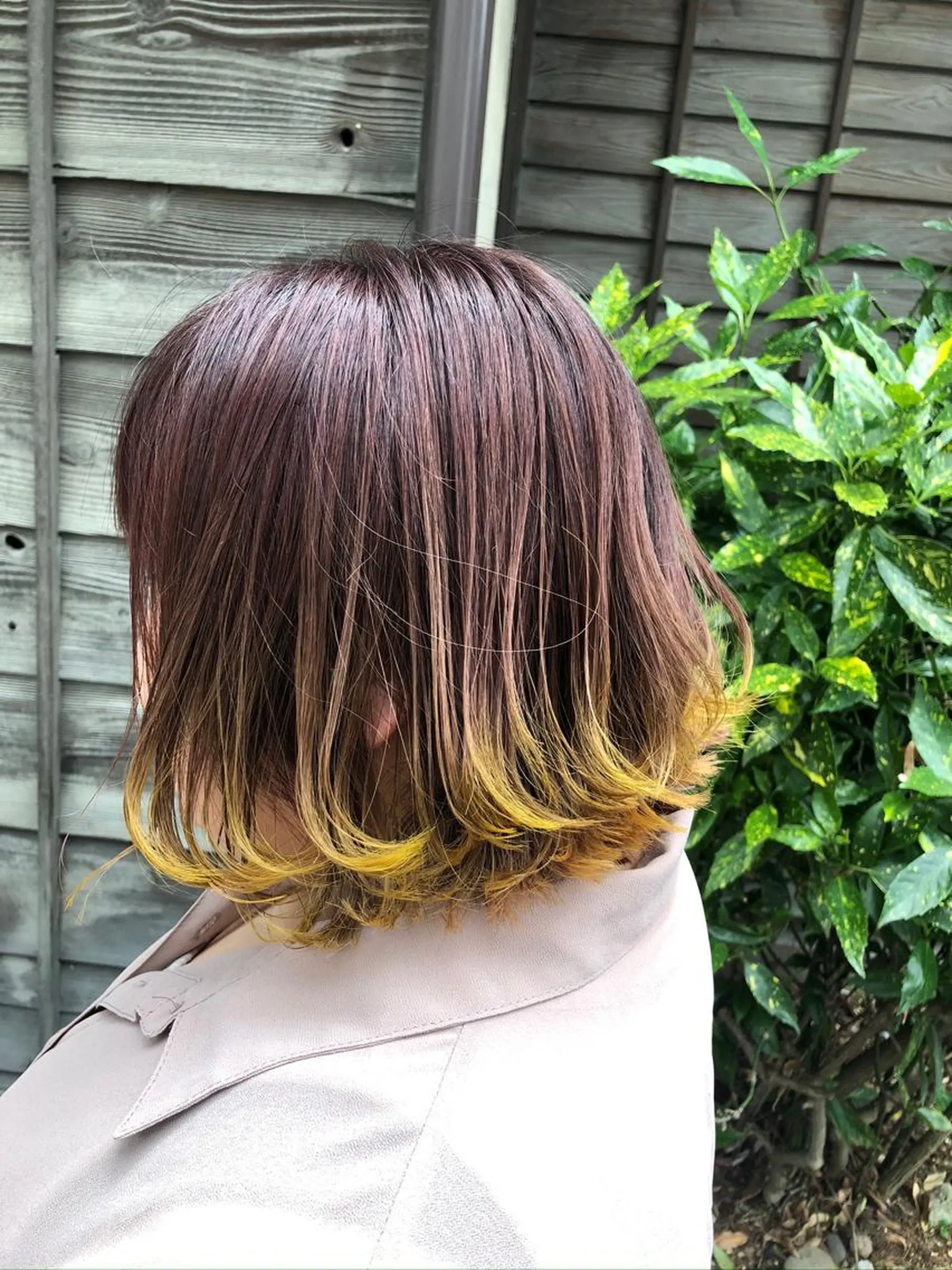 ショート カラー コレットヘアー 田中アヤノのヘアスタイル