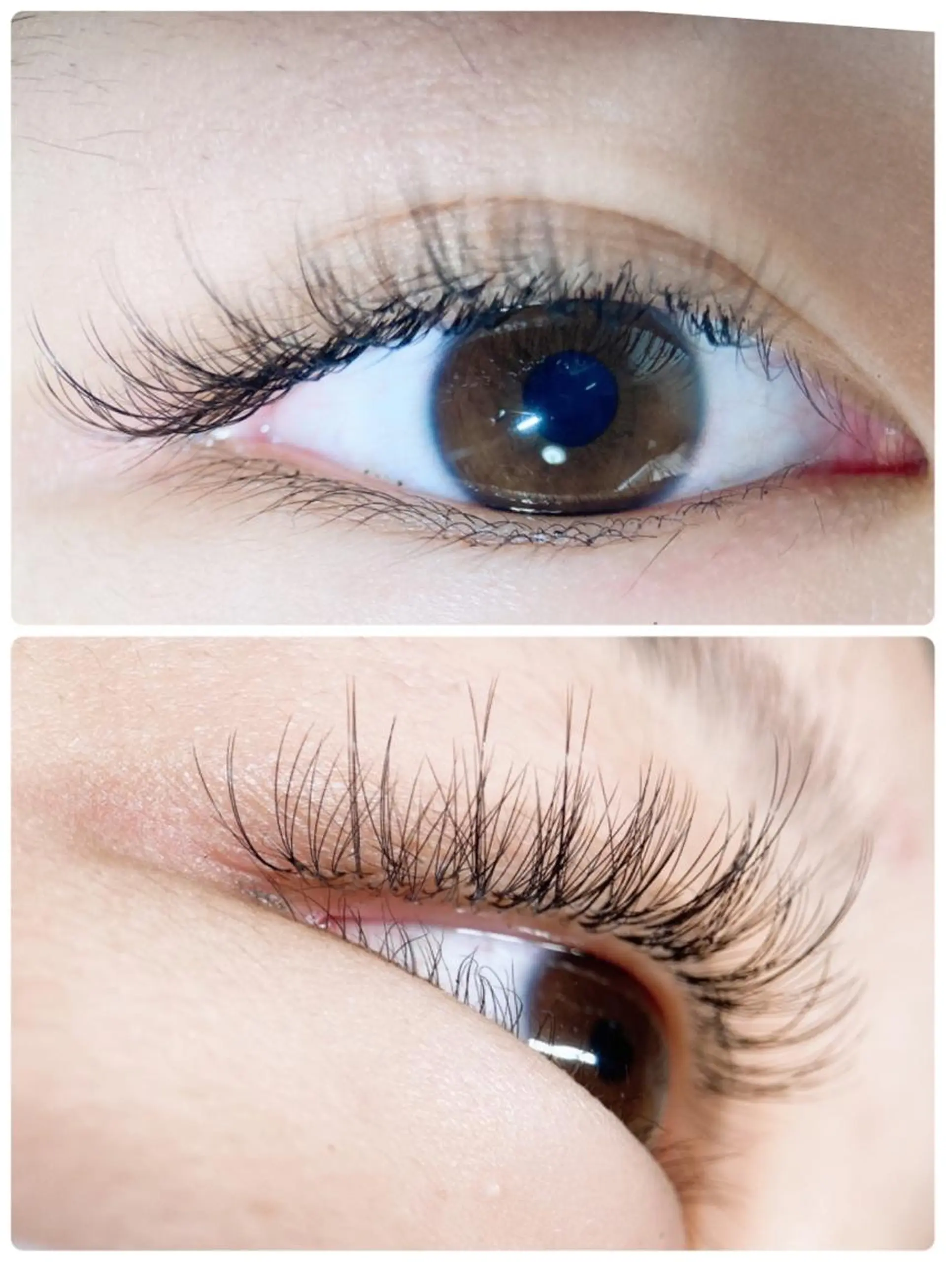 マツエク・マツパ MT所属・M Tのマツエク・マツパデザイン