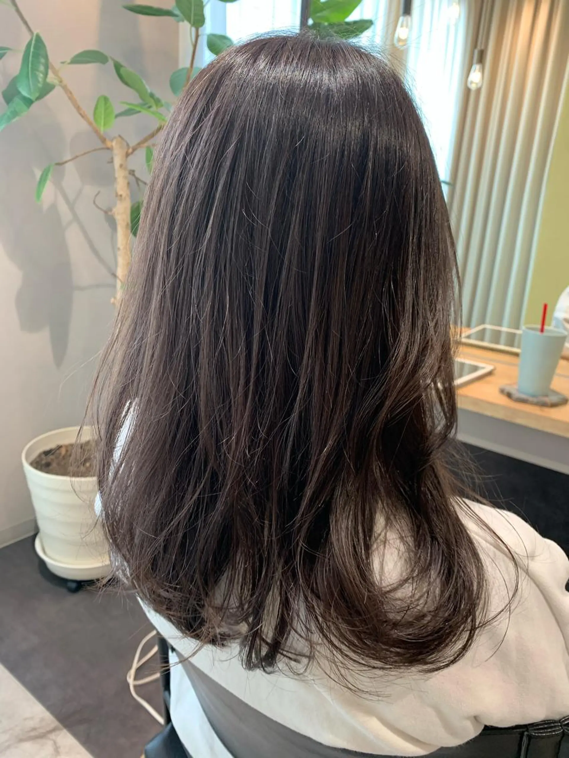 セミロング カラー ベージュカラー 透明感カラー シルバー シルバーベージュ hub hair レイヤー/透明感のヘアスタイル