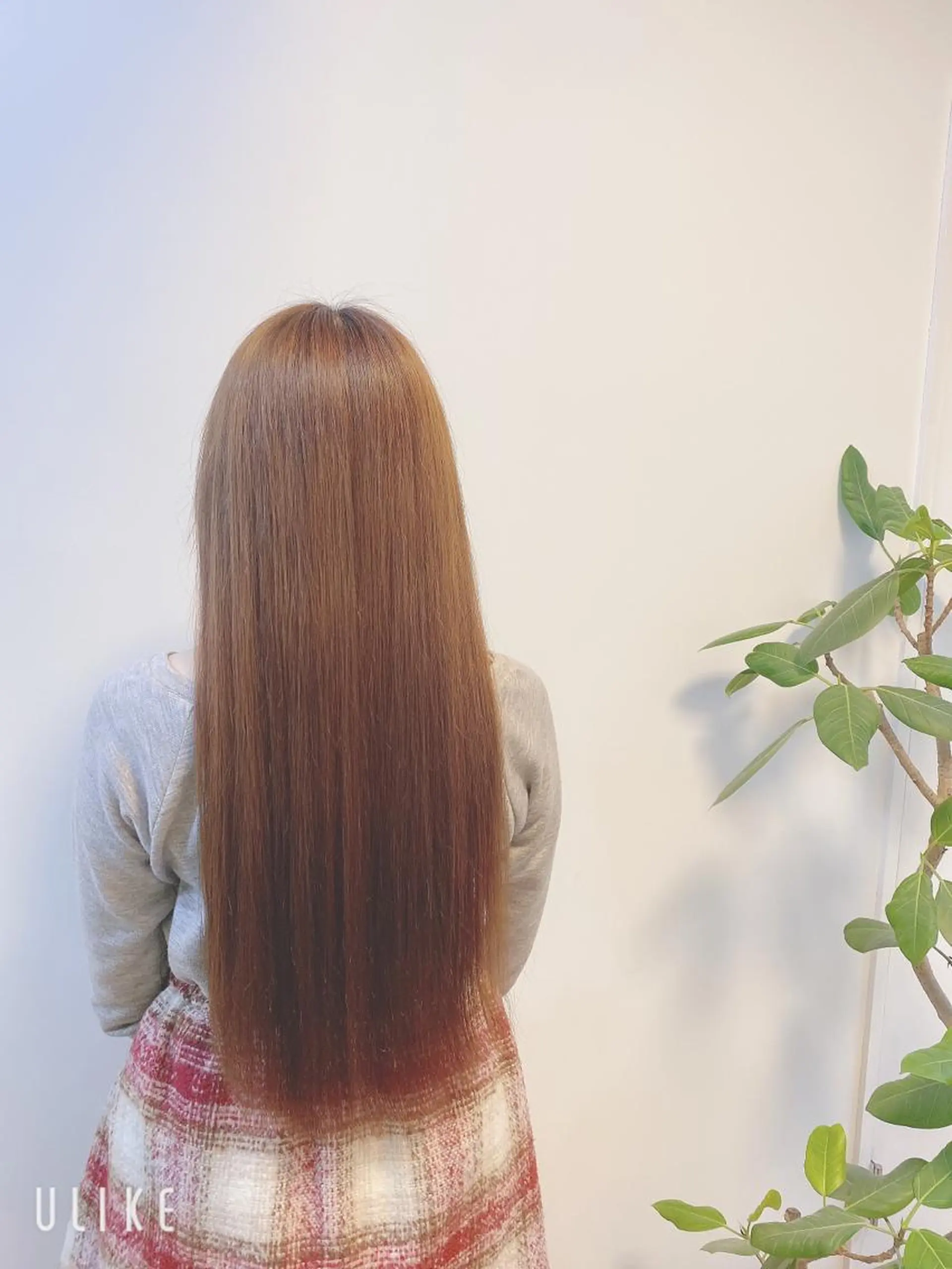 ロング 【エシカル】 HOSOMIのヘアスタイル