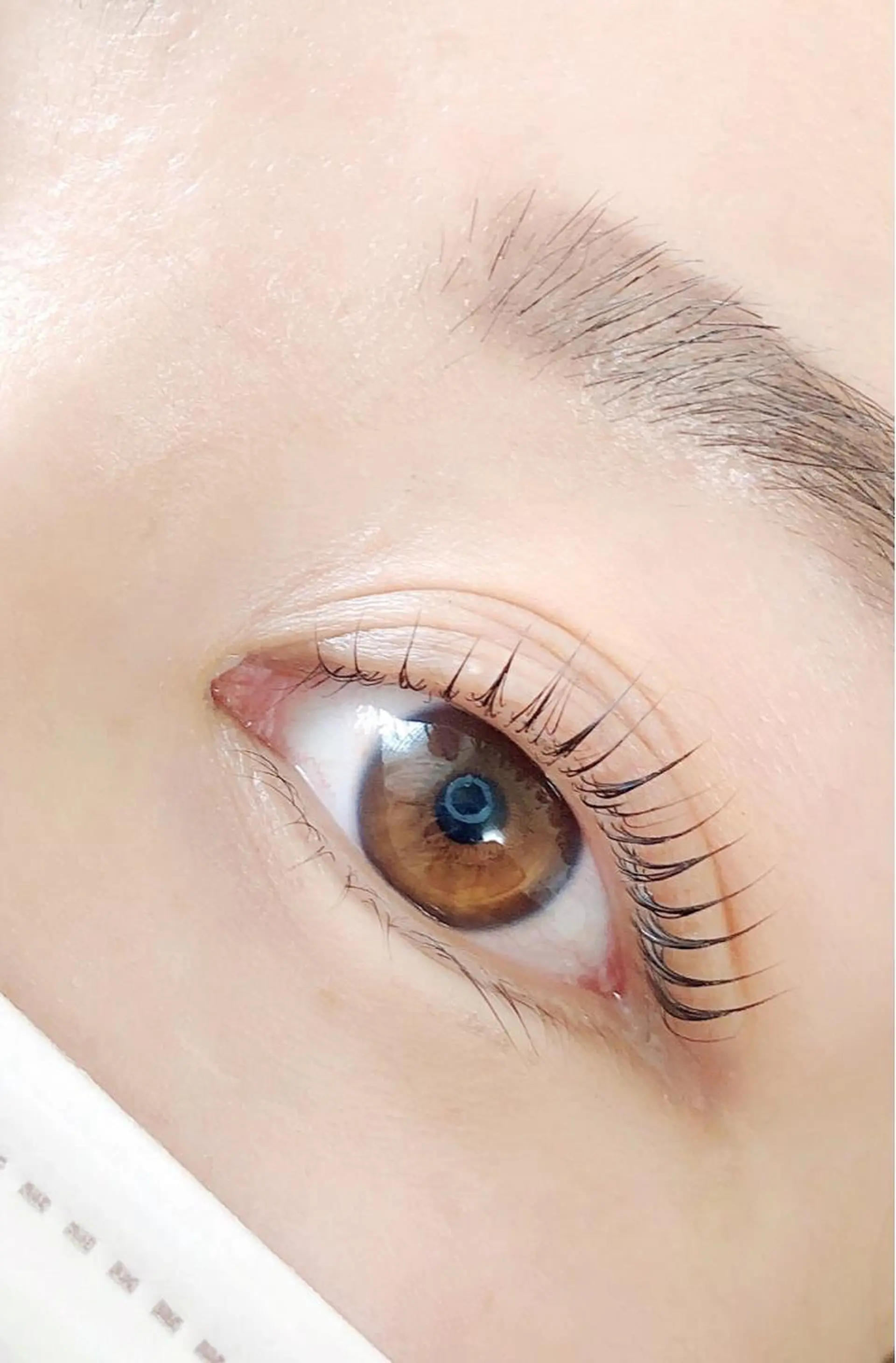 マツエク・マツパ ケラチンラッシュリフト Beauty Salon miliのマツエク・マツパデザイン