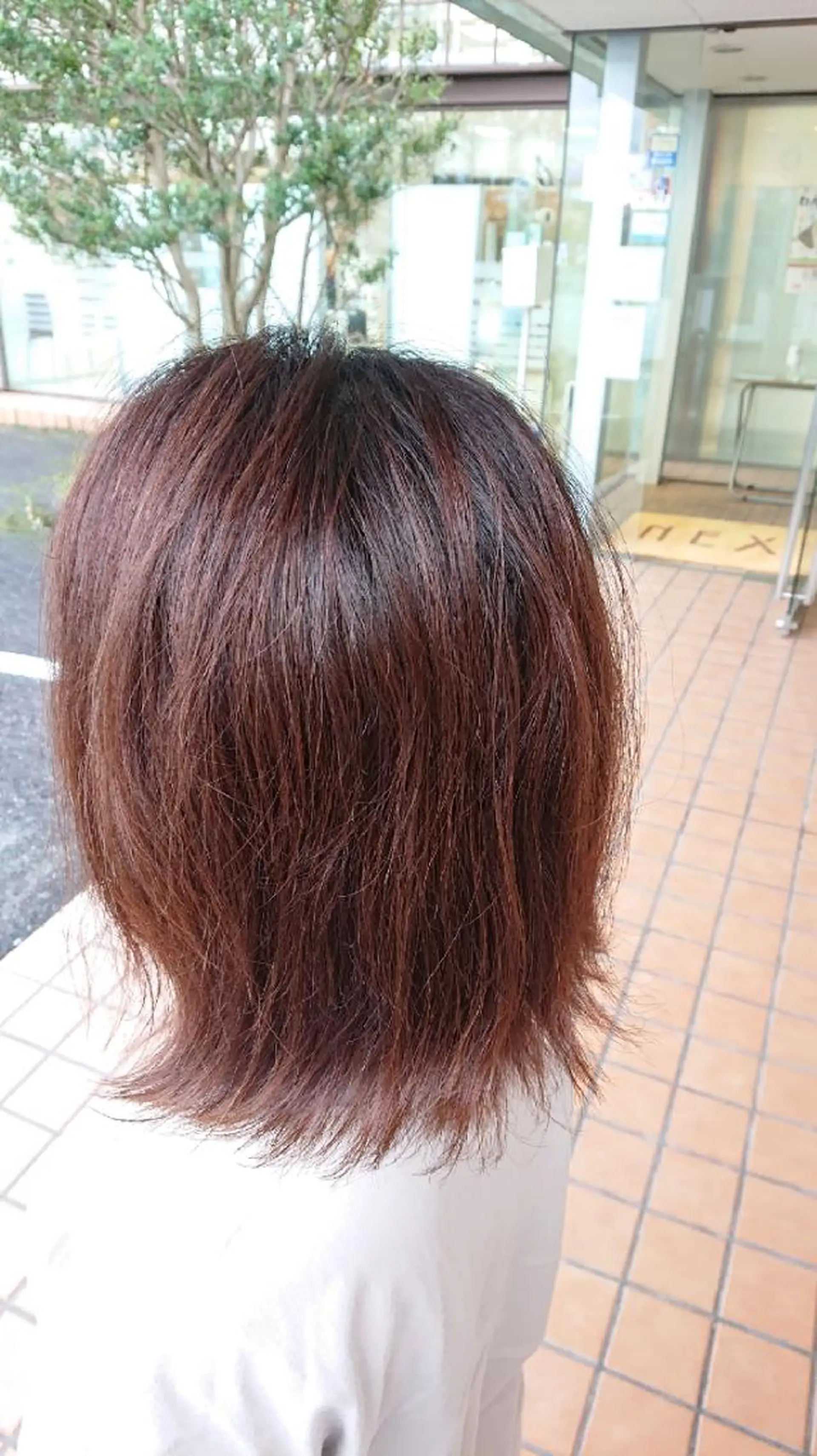 セミロング 林慶吾/ショート /ダメージレスカラーのヘアスタイル