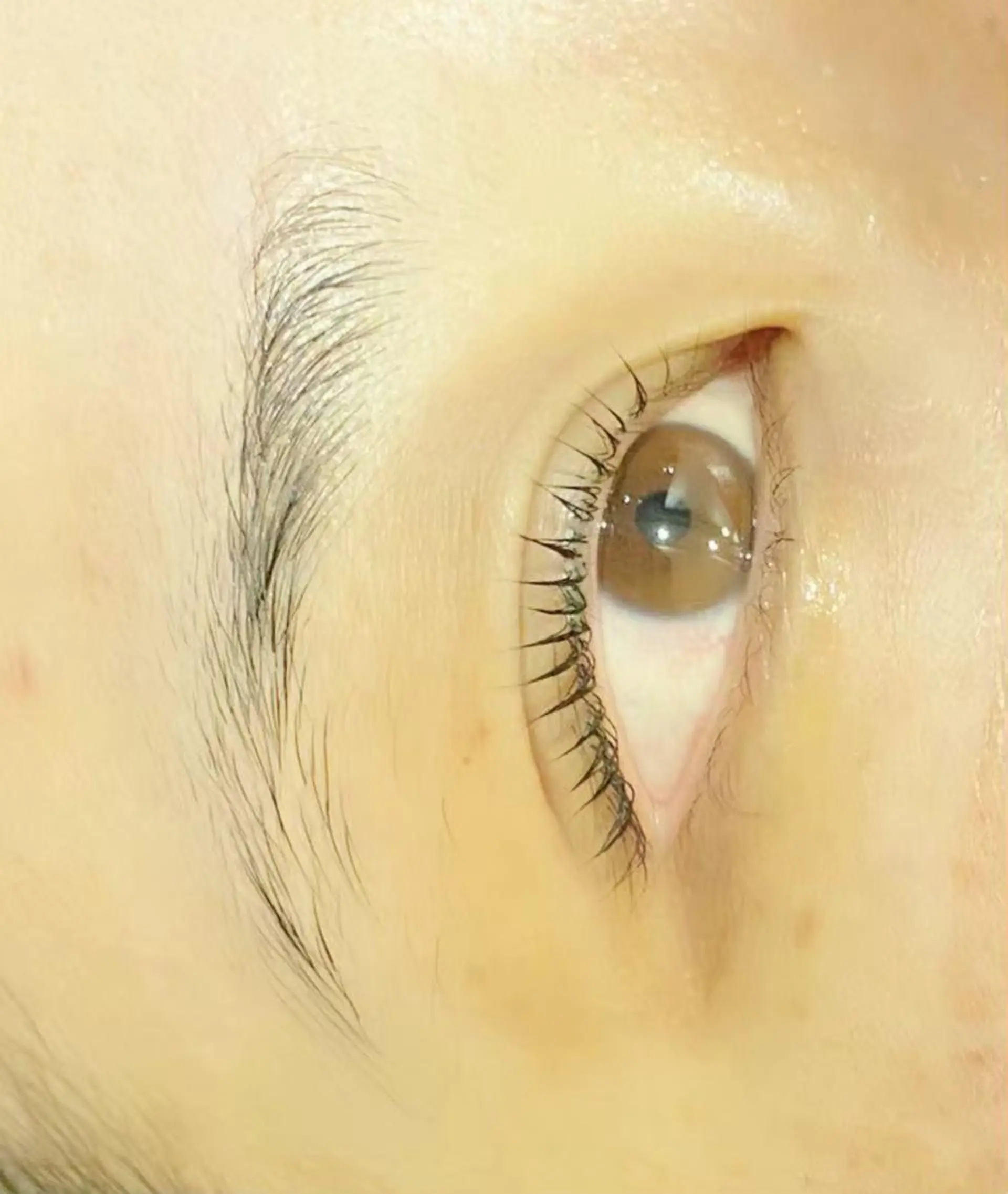 マツエク・マツパ 最高級人毛 100%エクステ茉央のヘアスタイル