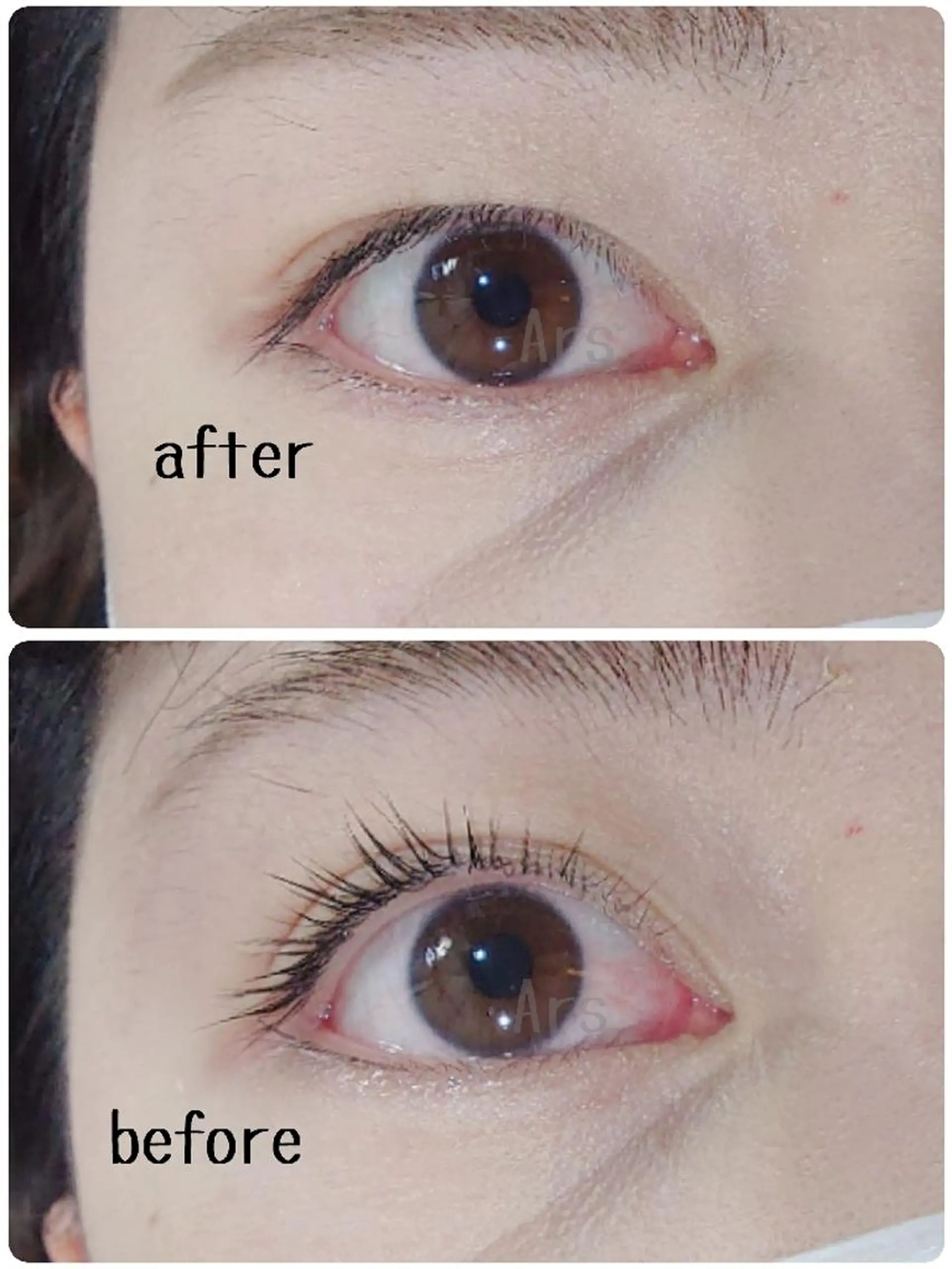 マツエク・マツパ アイリッドアップパーマ Ars      (ｱﾙｽ)のマツエク・マツパデザイン