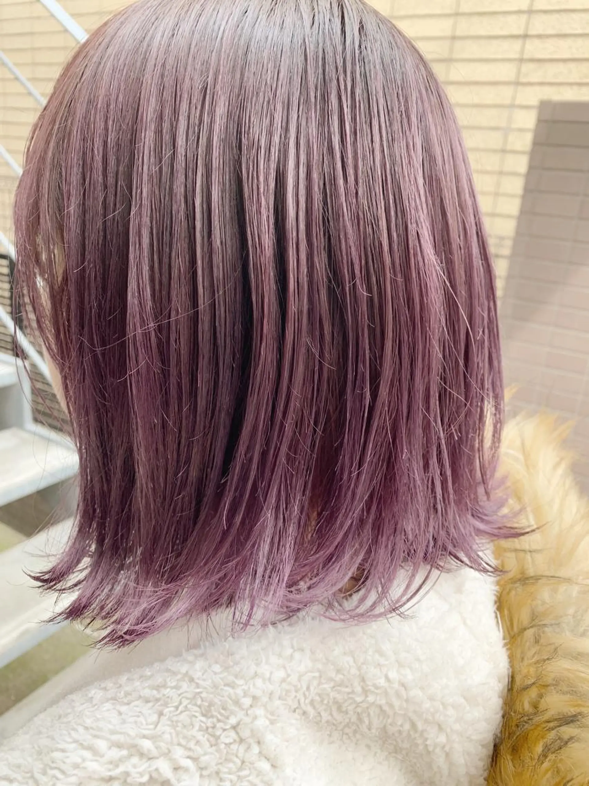 ショート カラー ピンクカラー 【完全マンツー 恵比寿】佐藤 翔のヘアスタイル