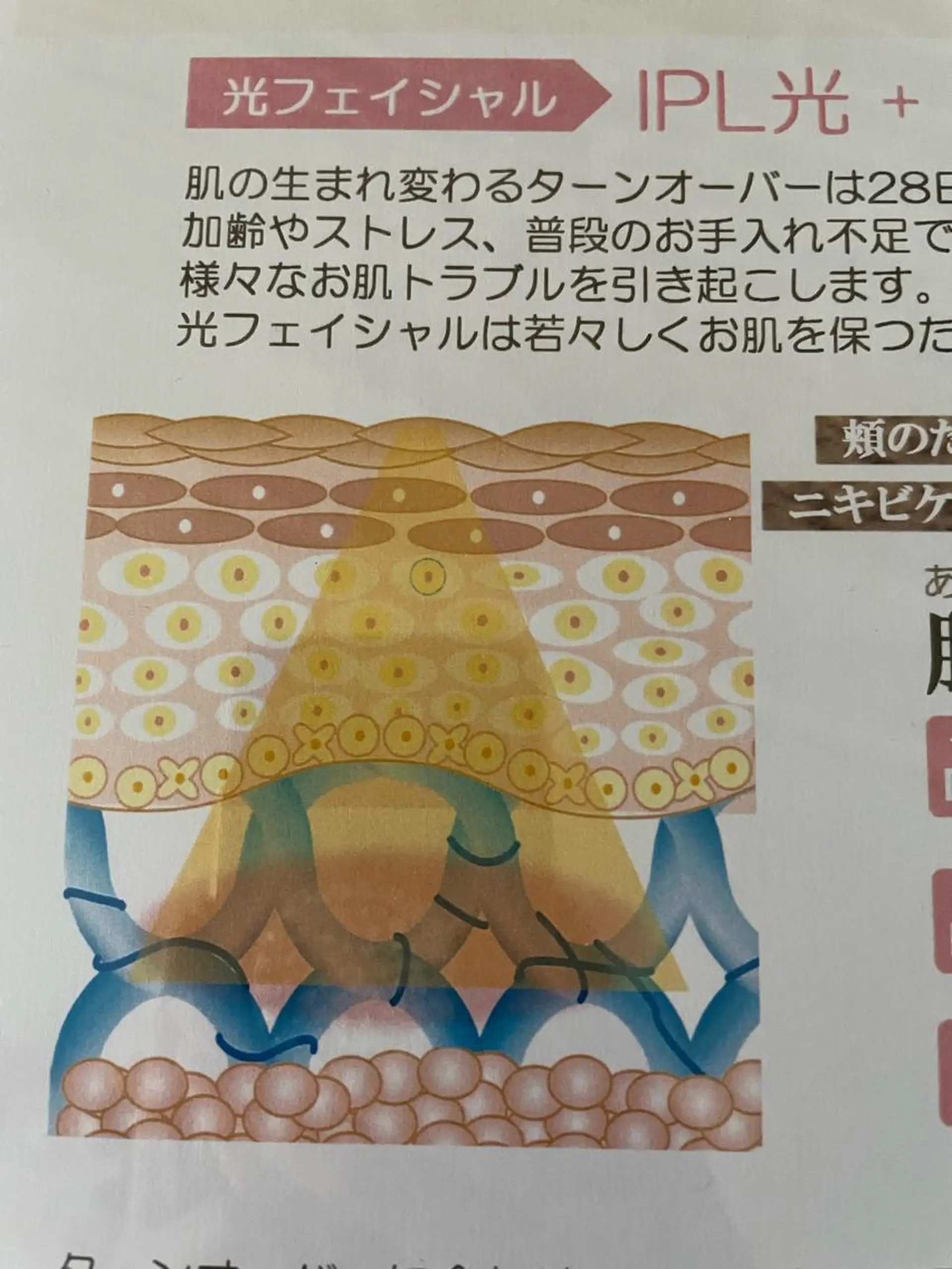 dear beautyのマツエク・マツパデザイン