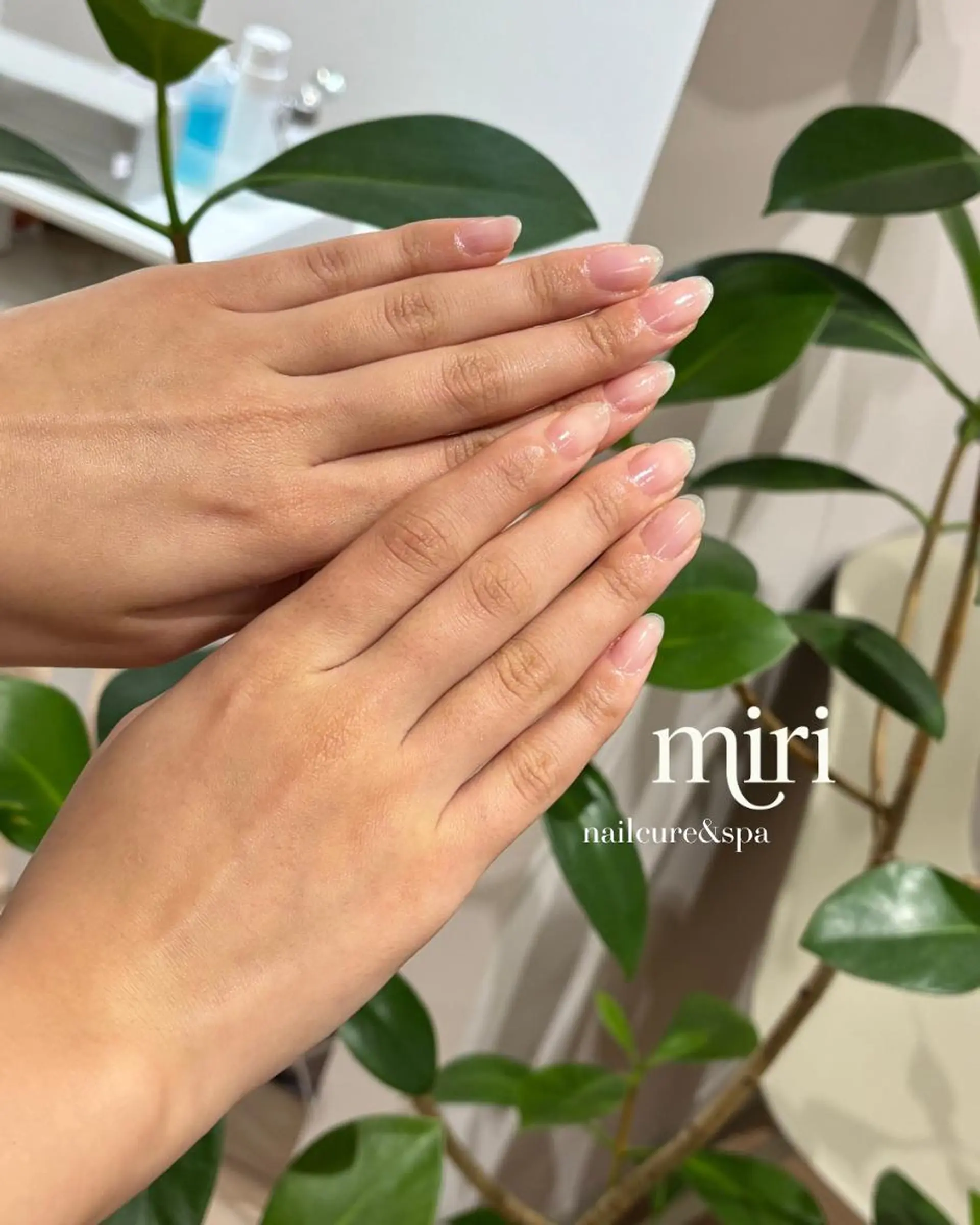ネイル ハンドケア 新宿代々木/ちゅるん キレイめ/miriのネイルデザイン