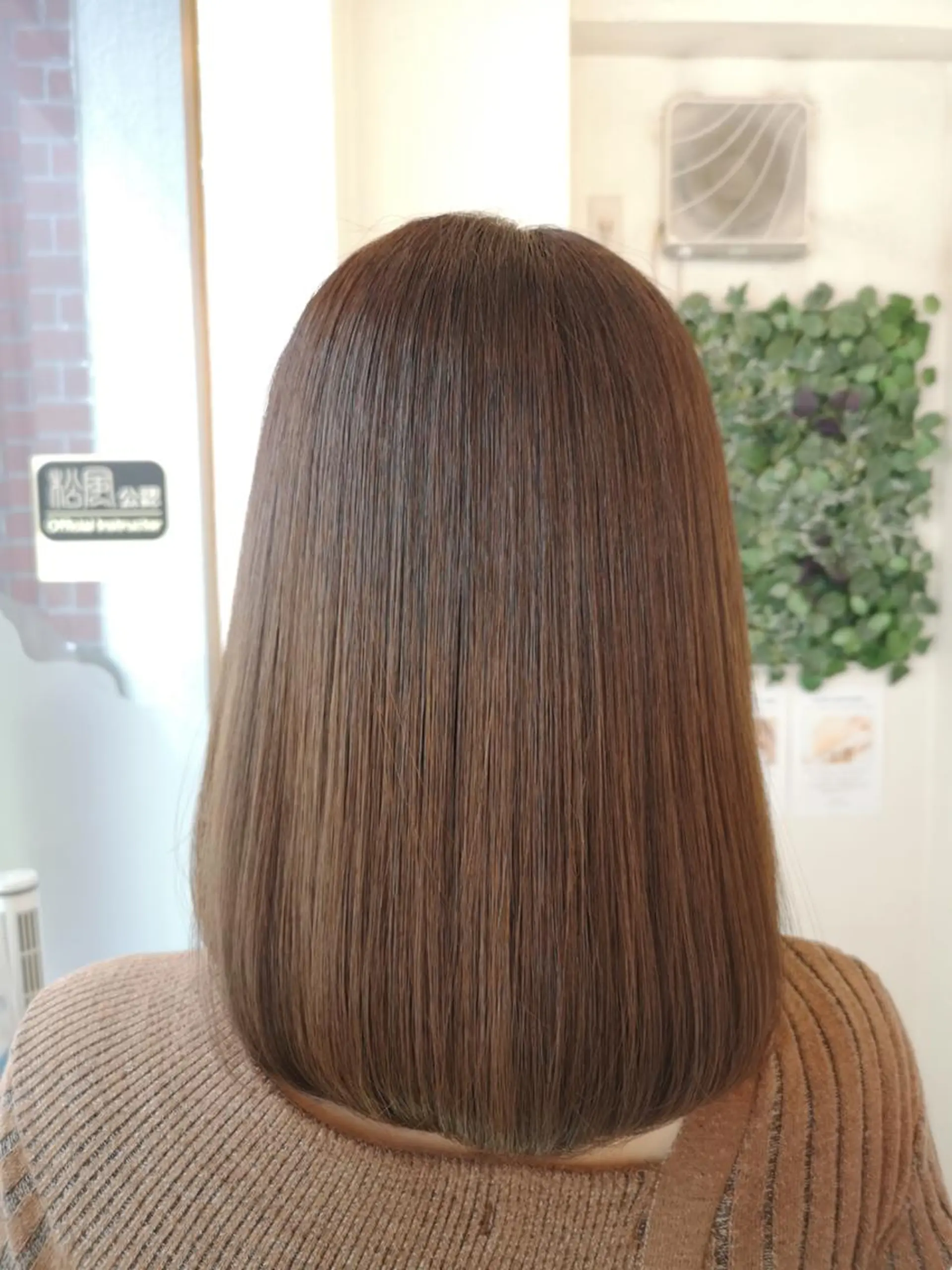 カラー セミロング イプス ビューティーのヘアスタイル