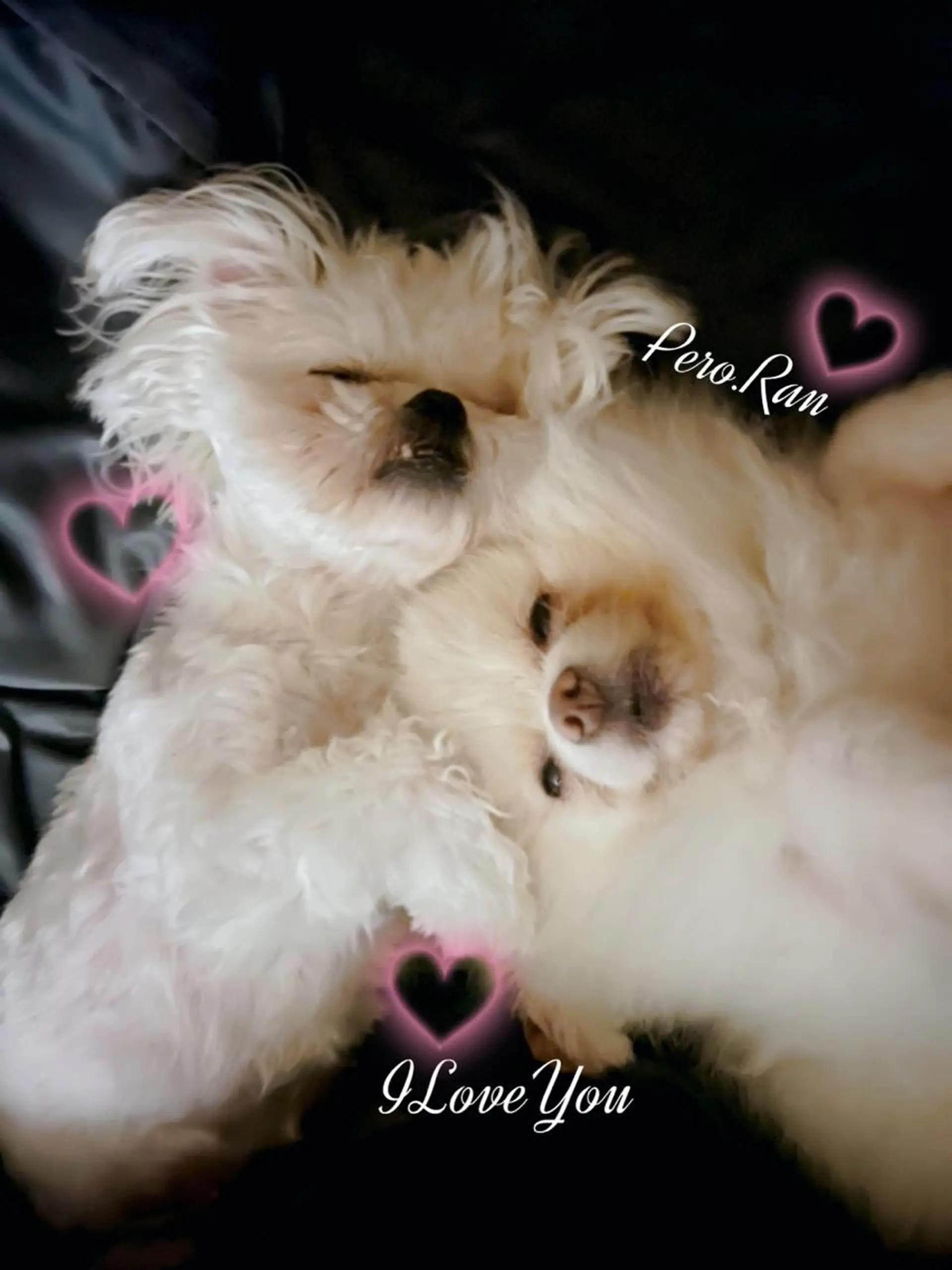 NailSalon /JAPHのネイルデザイン