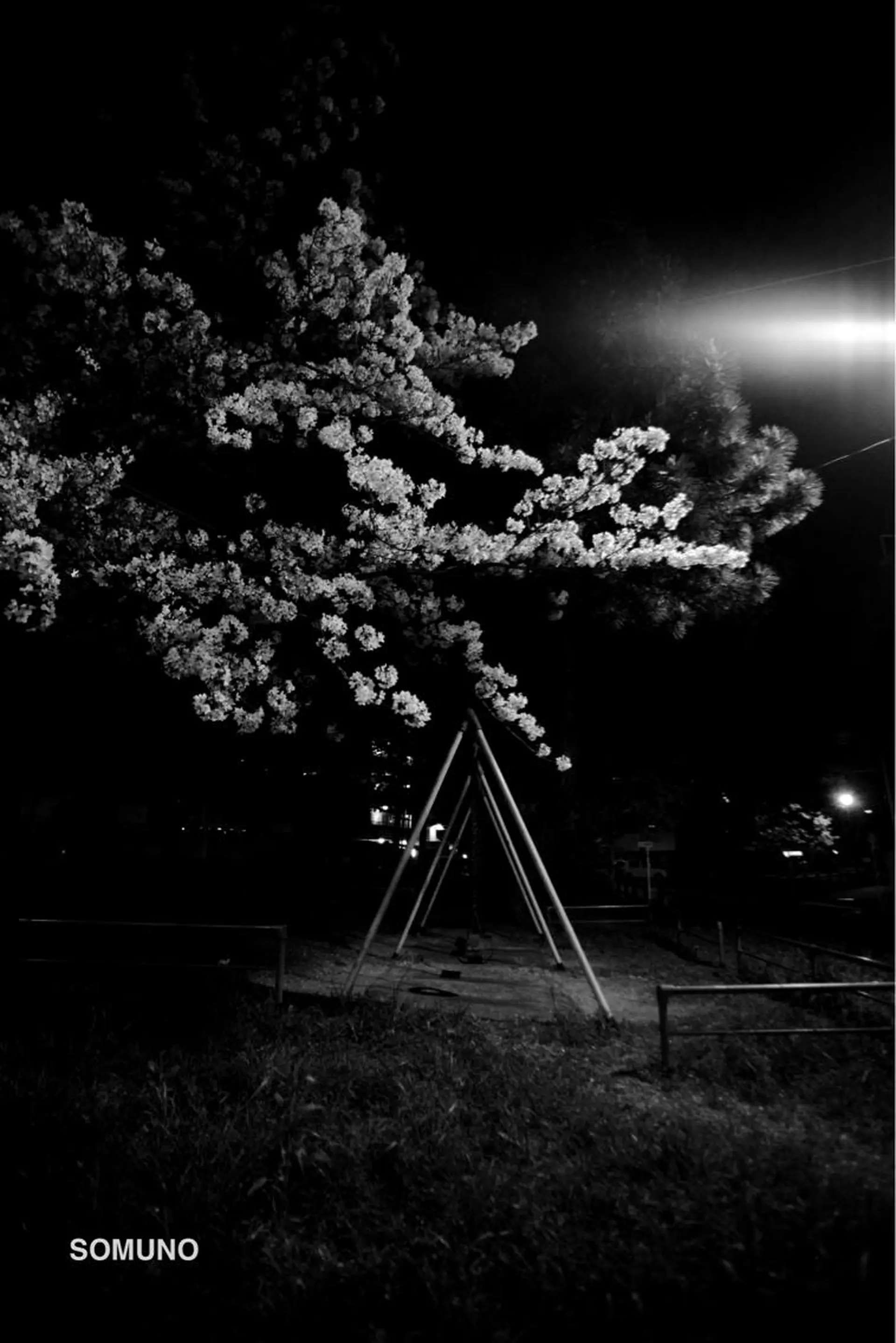 田村 竜一のヘアスタイル