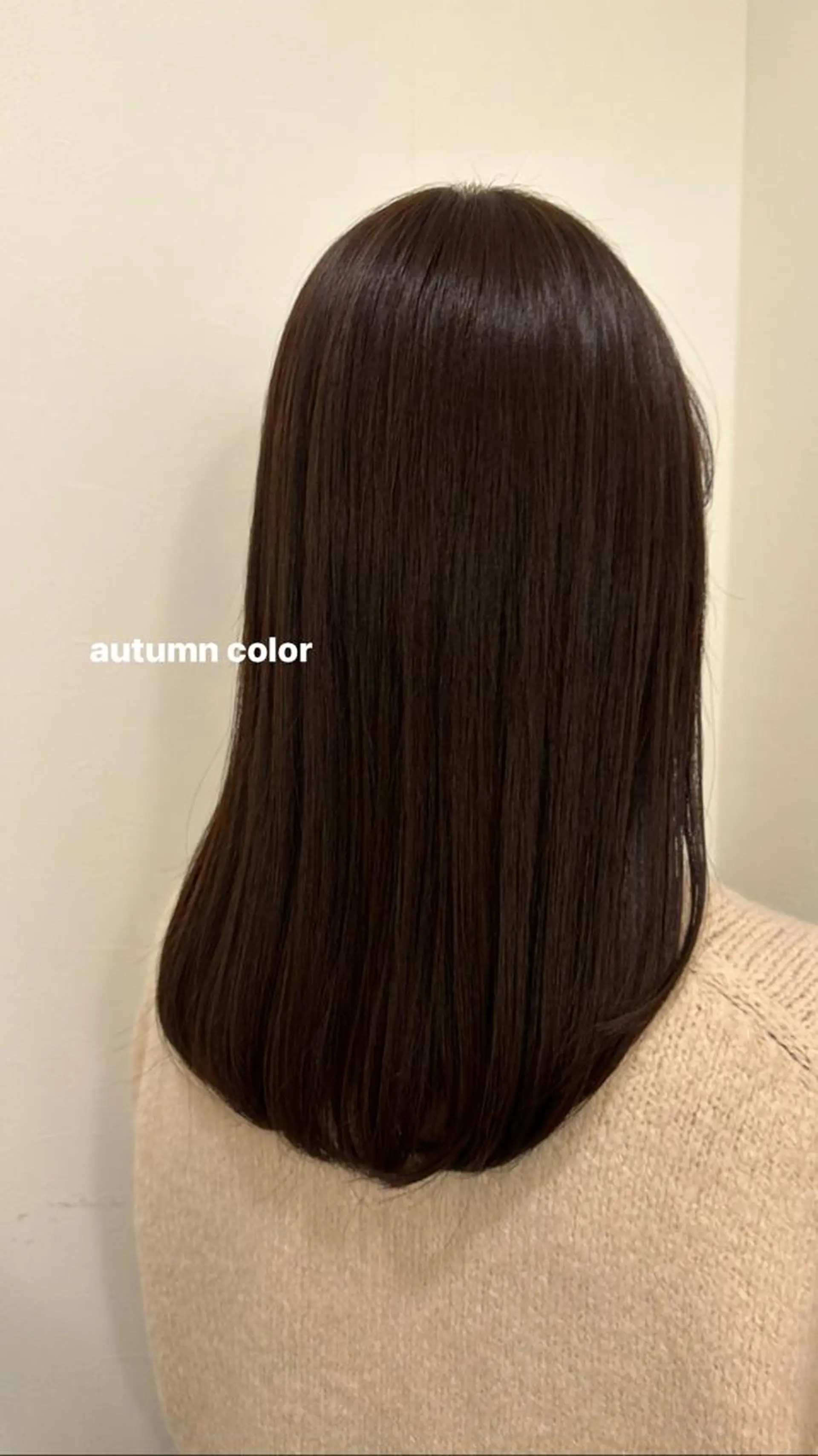 ロング 韓国レイヤーカット/ 艶カラー/ noaのヘアスタイル