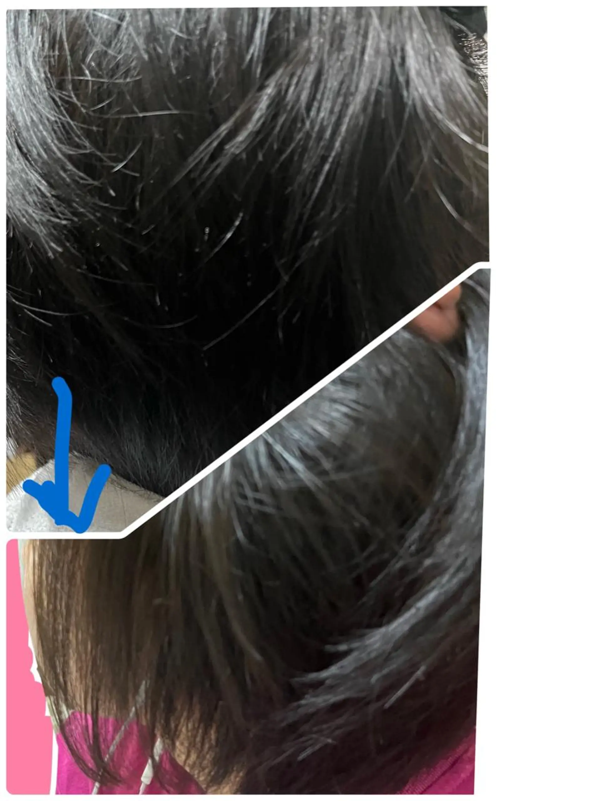 ショート カミ ジマのヘアスタイル