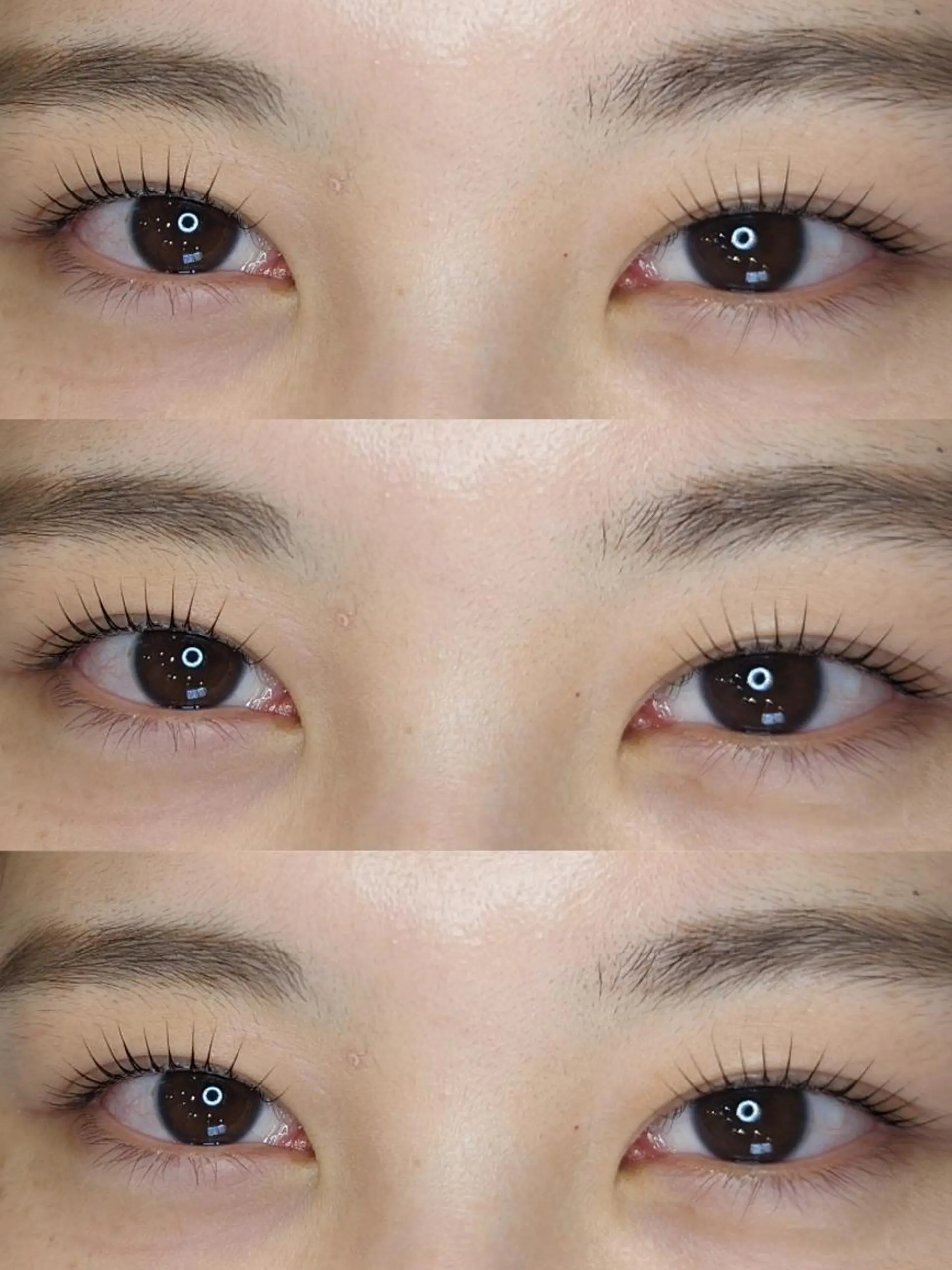 マツエク・マツパ 【STEEL池袋】 🌈MASHIMAのマツエク・マツパデザイン