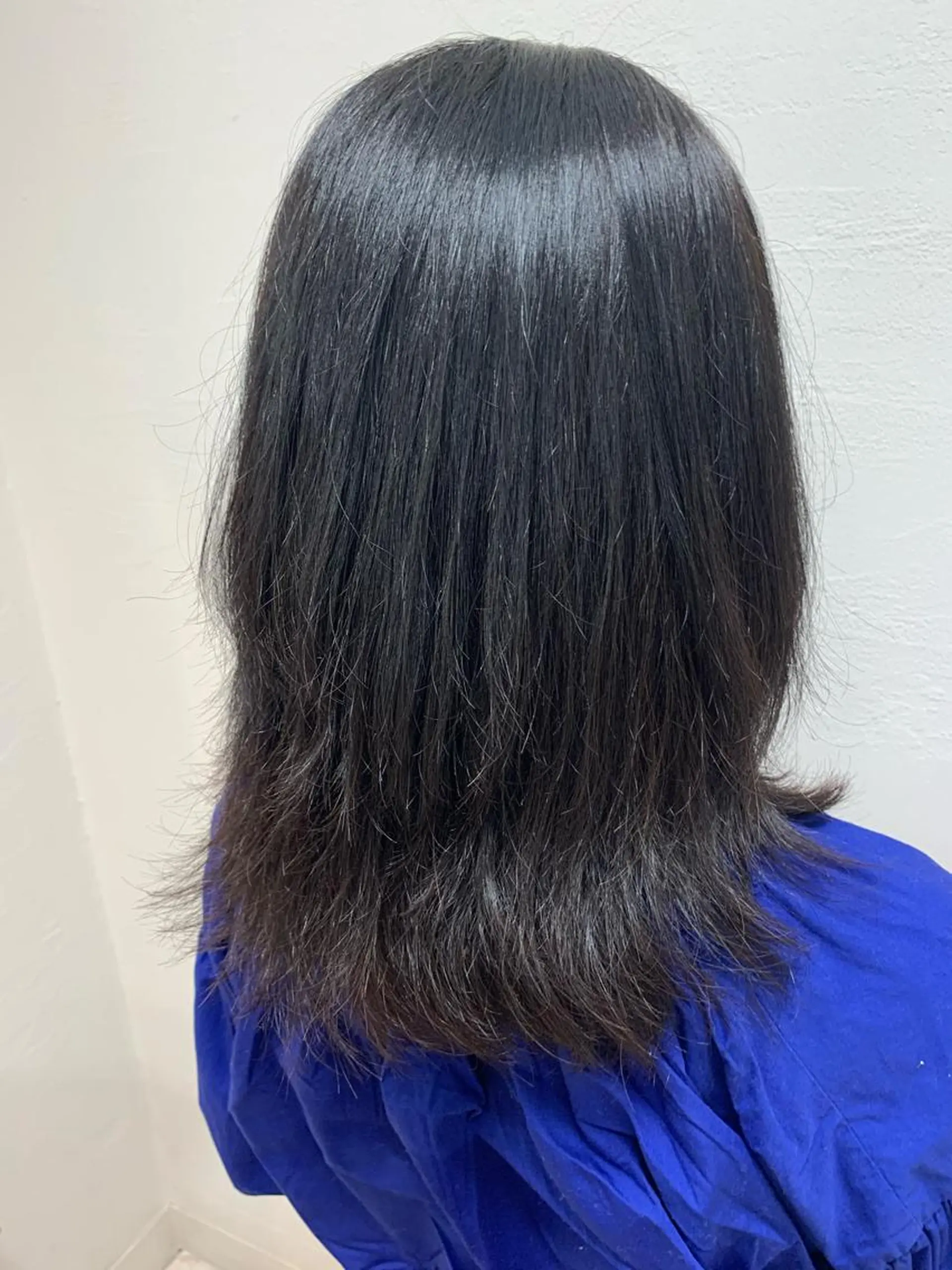 ミディアム 鮮やかカラーと艶髪 美容師を目指すモリーのヘアスタイル