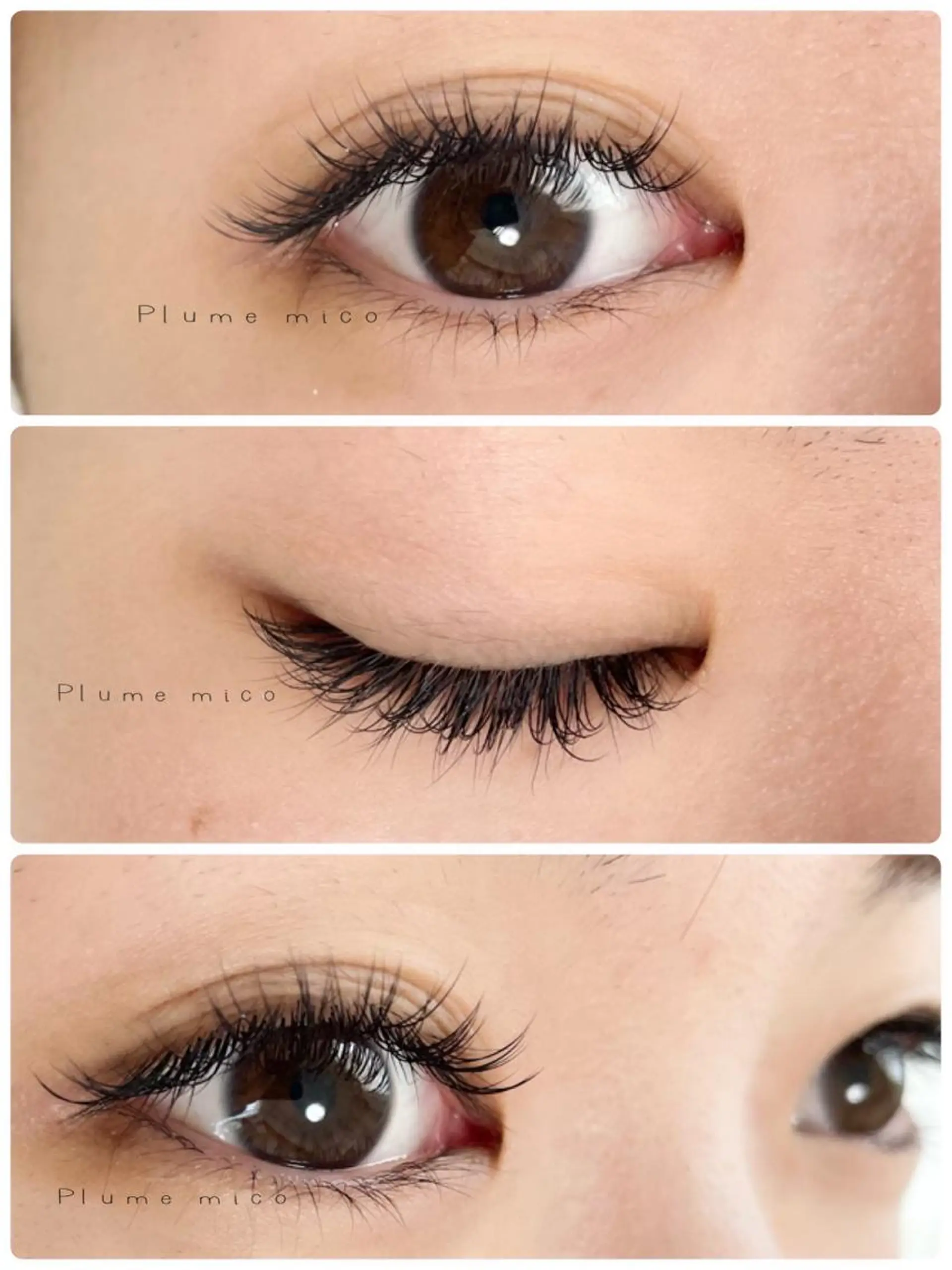 マツエク・マツパ マツエク Plume micoのマツエク・マツパデザイン