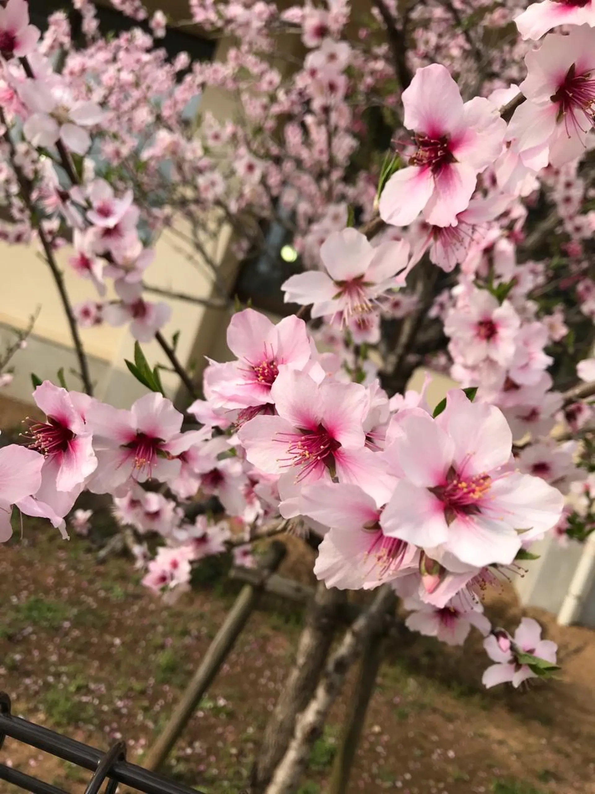 登坂  真由美のエステ・リラクイメージ