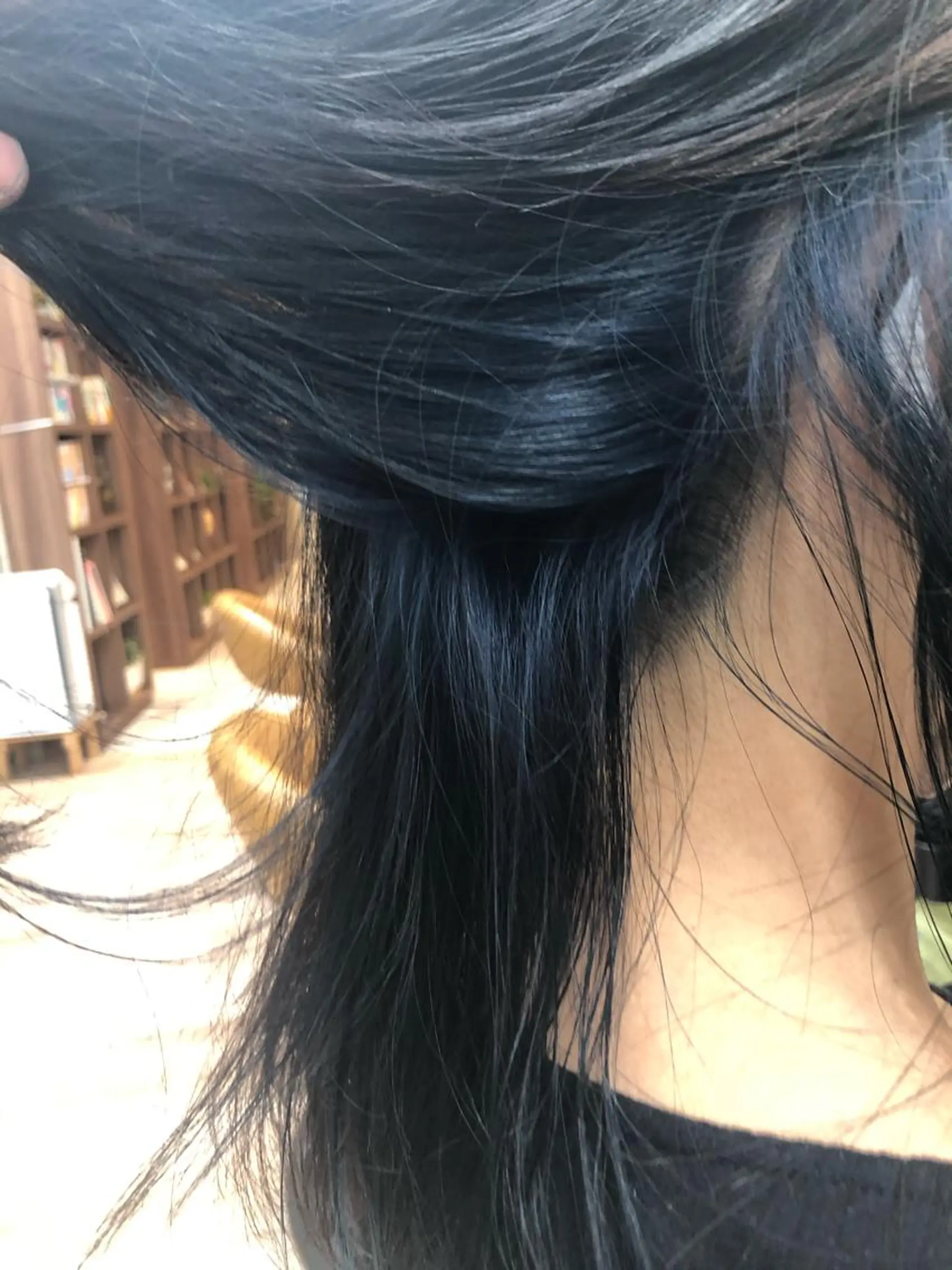 セミロング カラー ネイビーカラー dogstar小林諒 パーマ/レイヤーのヘアスタイル