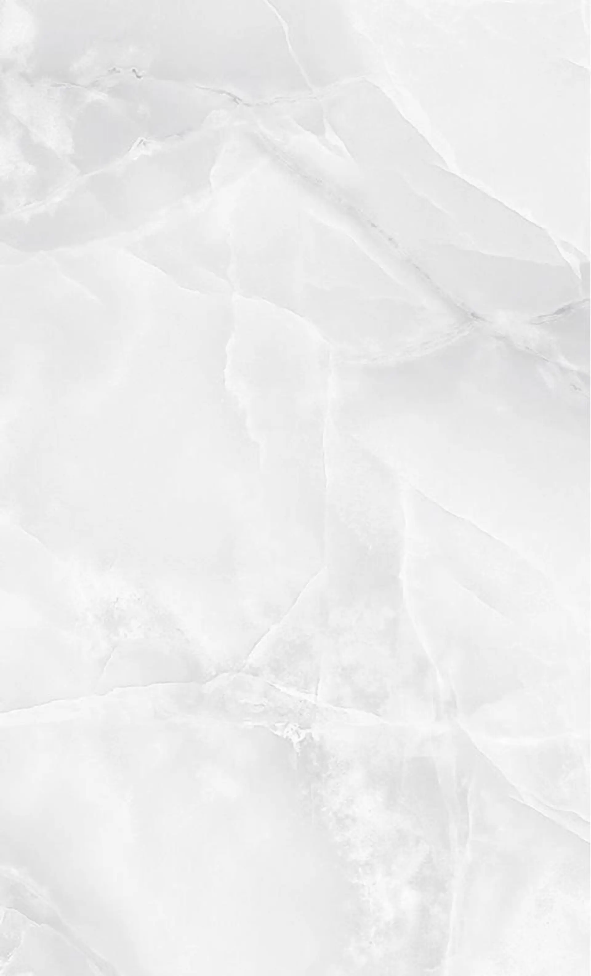 ネイル ハンドネイル Bianca🩶 SHIONOのネイルデザイン