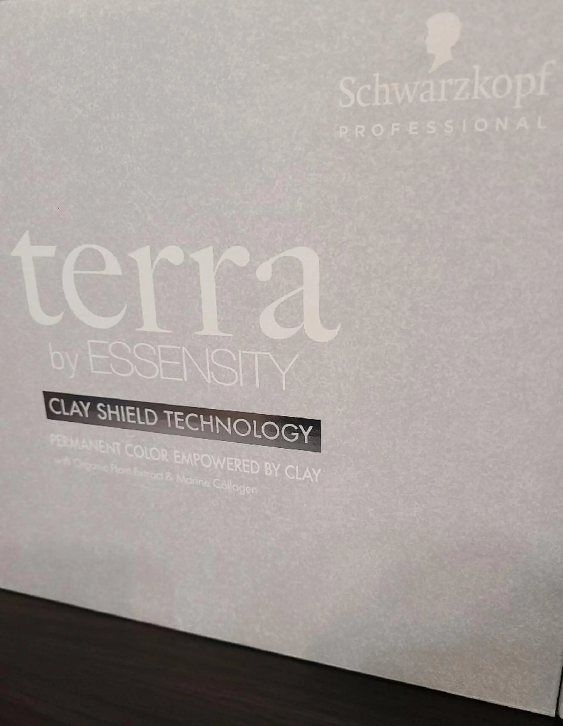 カラー ヘアカラー トリートメント terra✂️川嶋 大輔のヘアスタイル