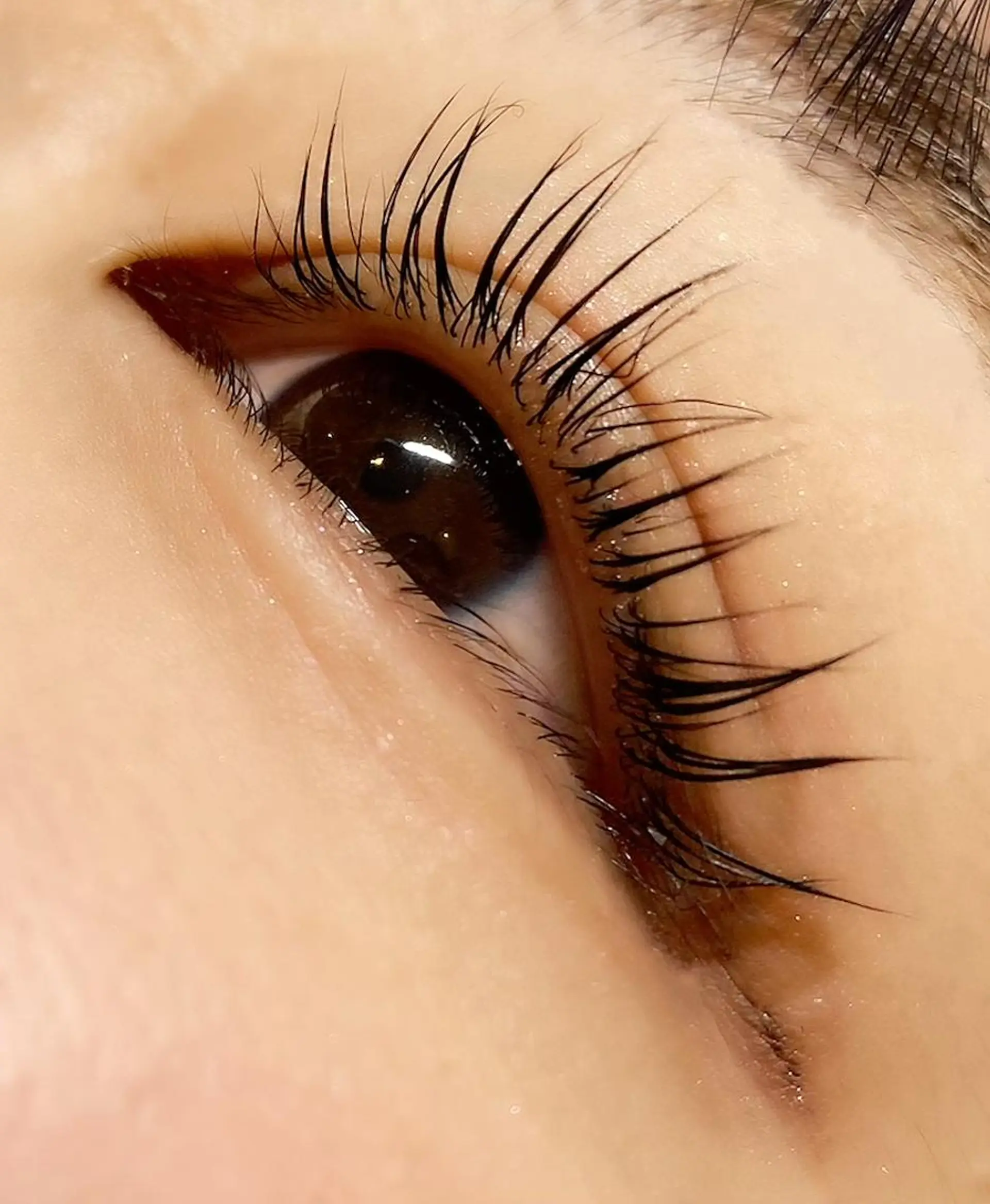 マツエク・マツパ パリジェンヌラッシュリフト killa eye beauty 野中のマツエク・マツパデザイン