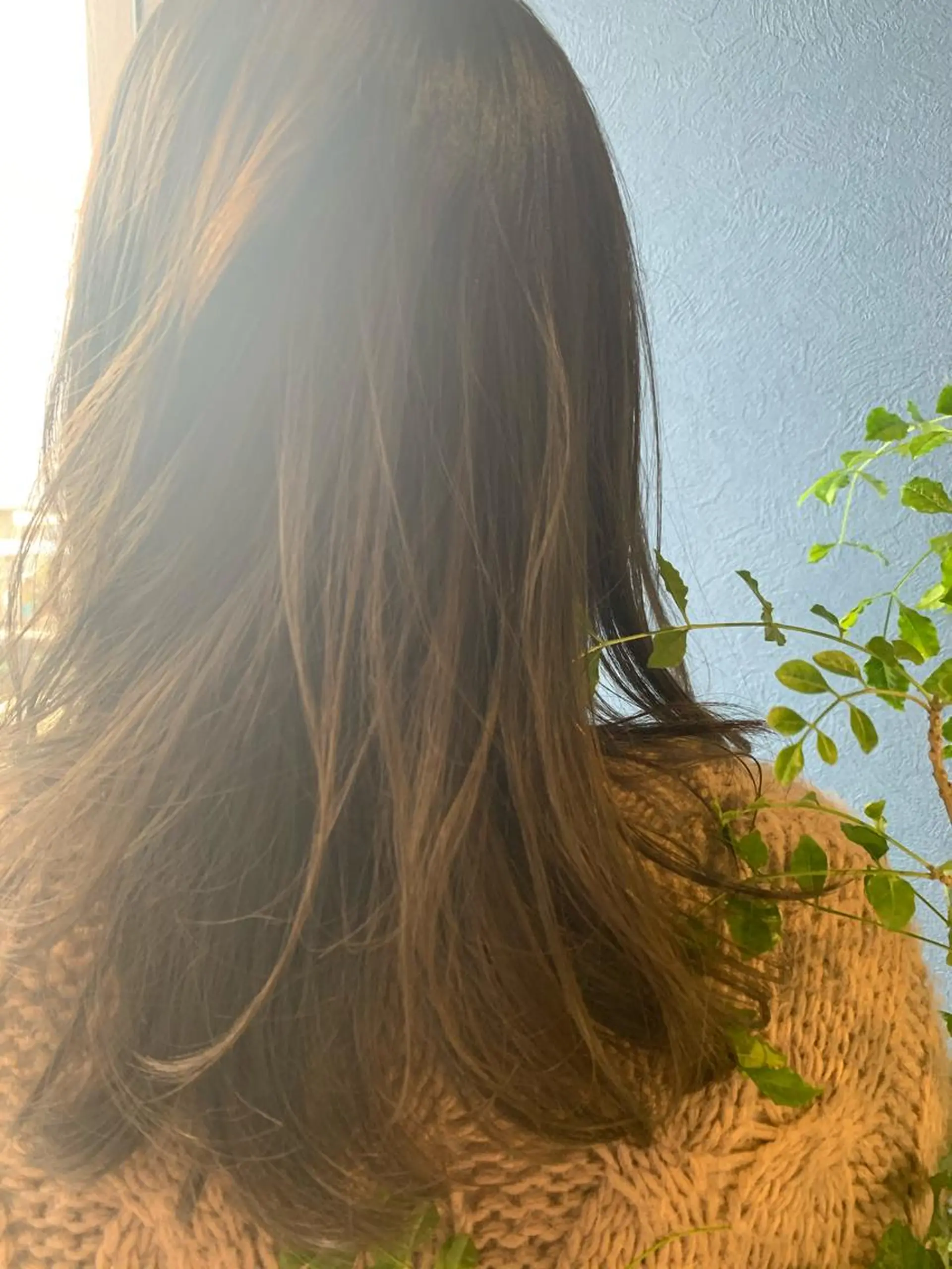 セミロング カット ヘアカラー ✨白髪ぼかし 🍀MINAKO☆のヘアスタイル