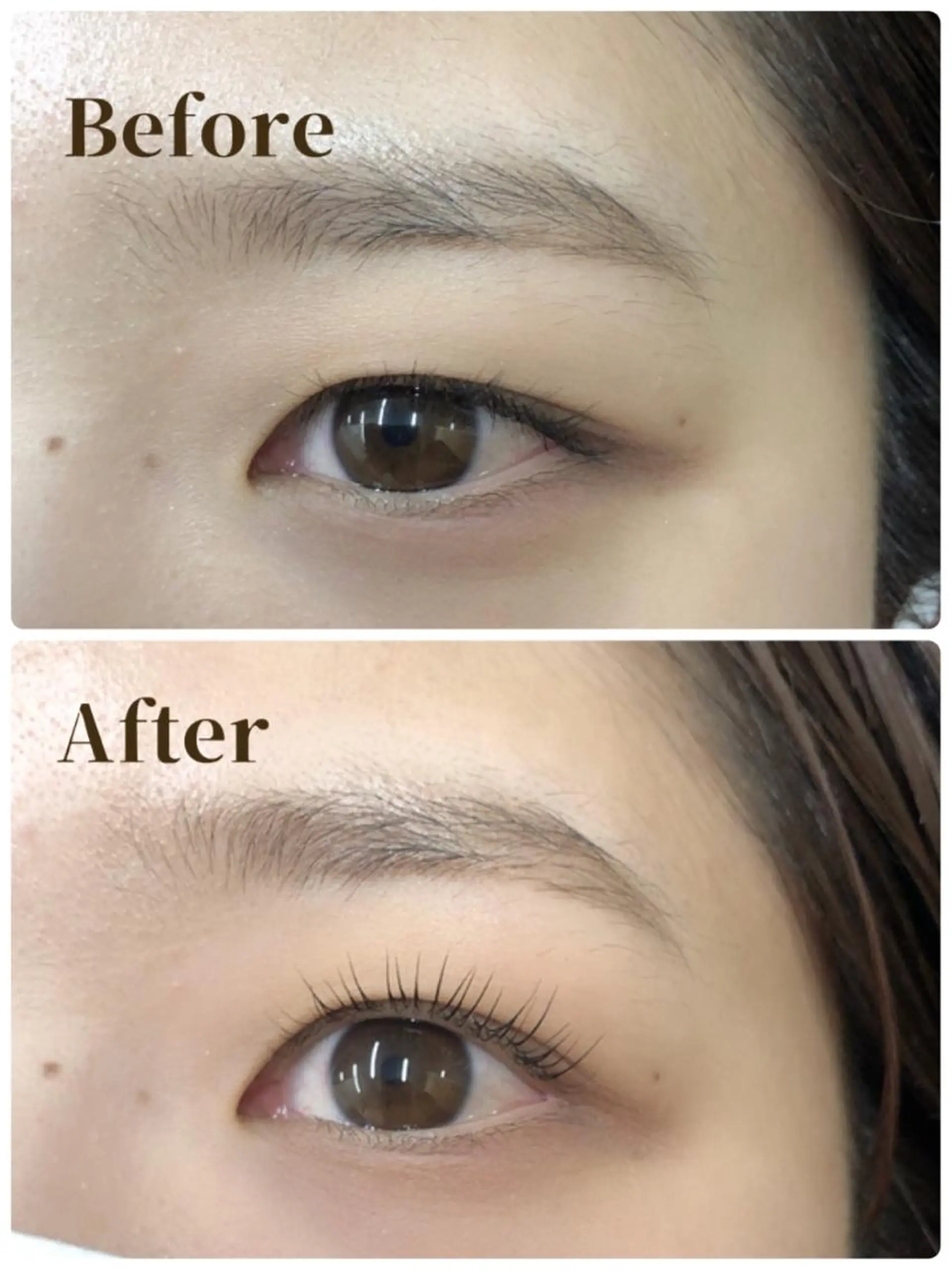 マツエク・マツパ ケラチンラッシュリフト Lカール more 伊東萌香のマツエク・マツパデザイン