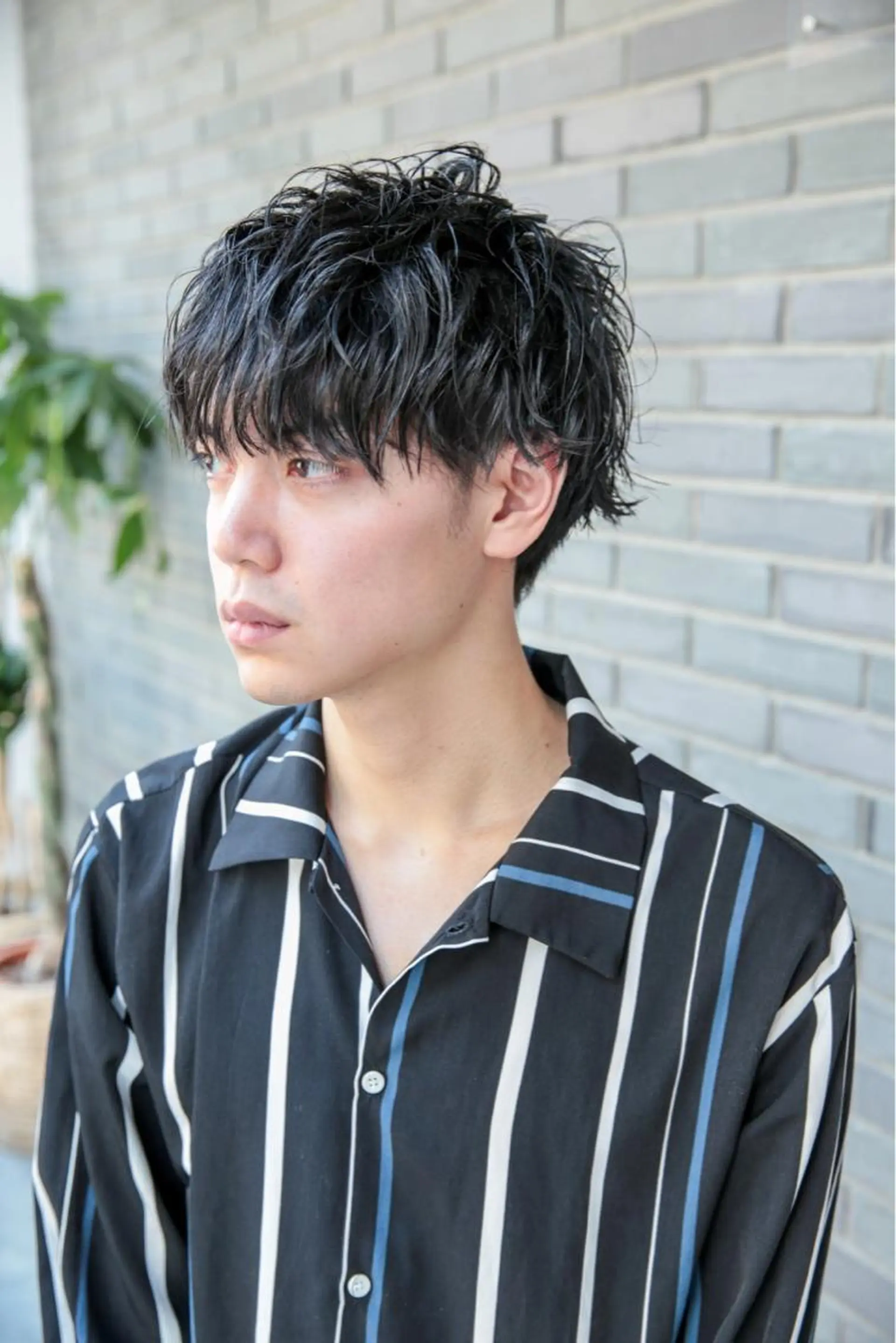 ミディアム パーマ メンズ カット 【川西能勢口駅1分】 木村　翔乃佑のヘアスタイル