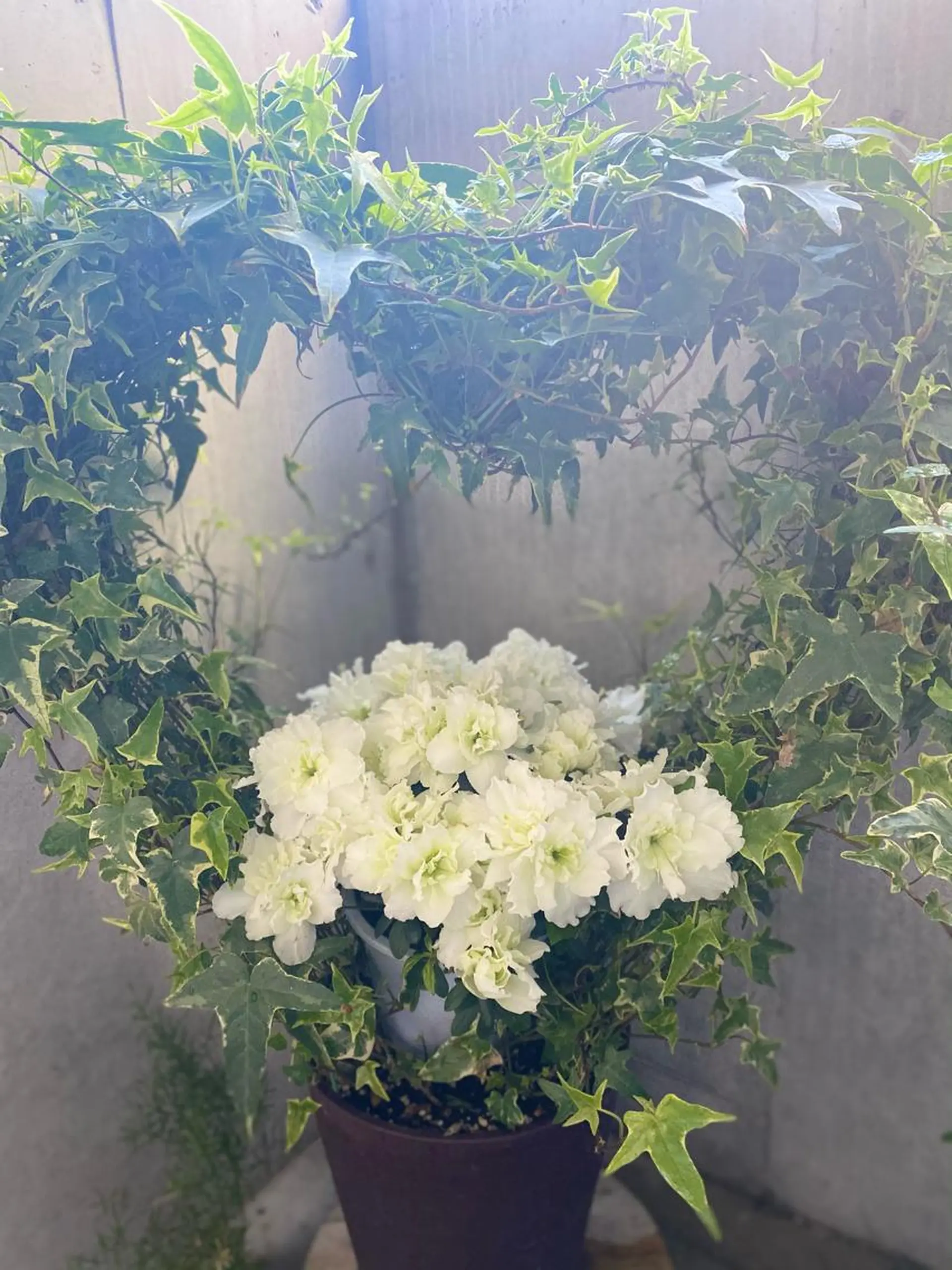 毛穴から始める肌メン テマンダリンオレンジのエステ・リラクイメージ