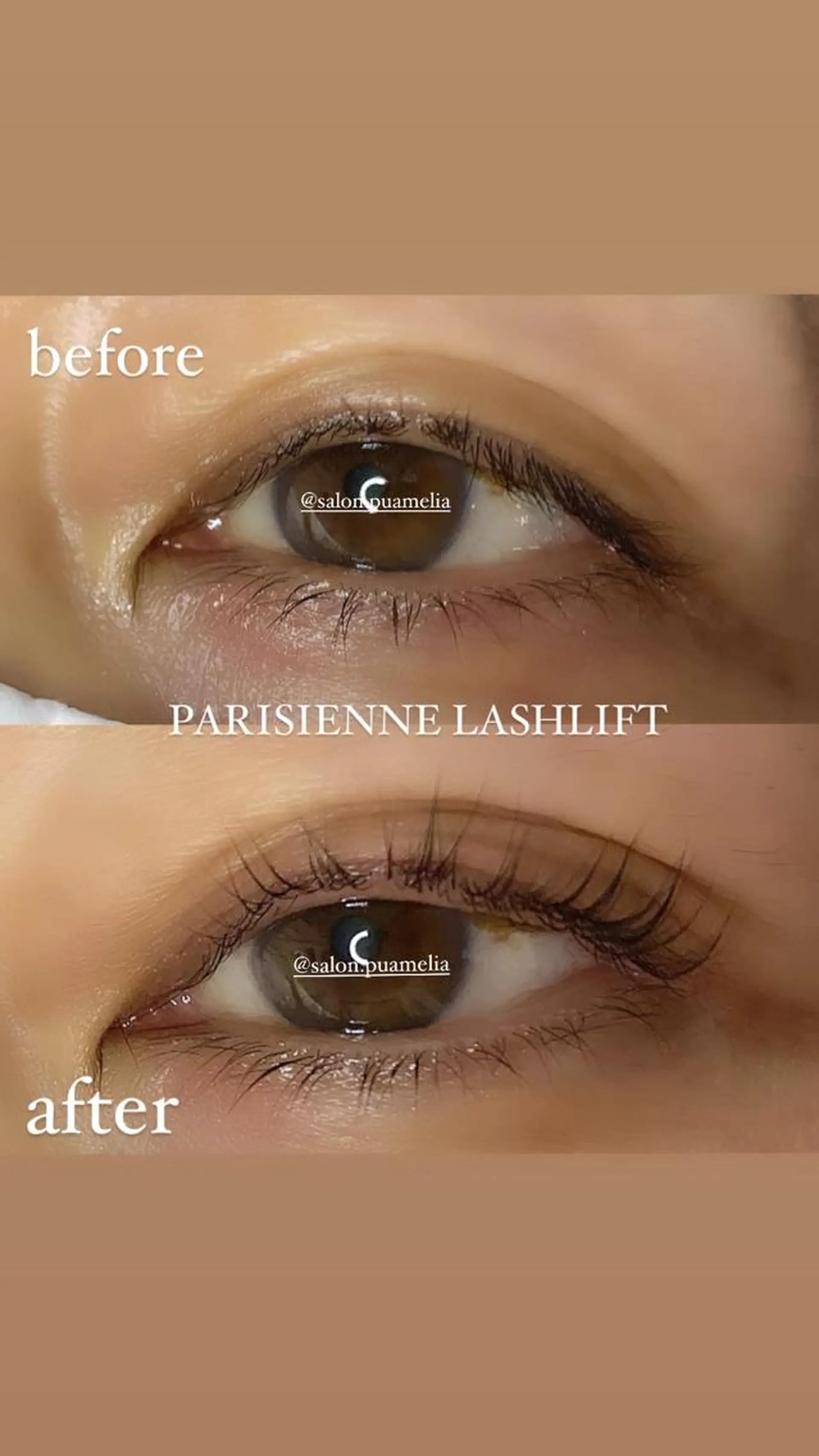 マツエク・マツパ マツパ Pua Meliaのマツエク・マツパデザイン