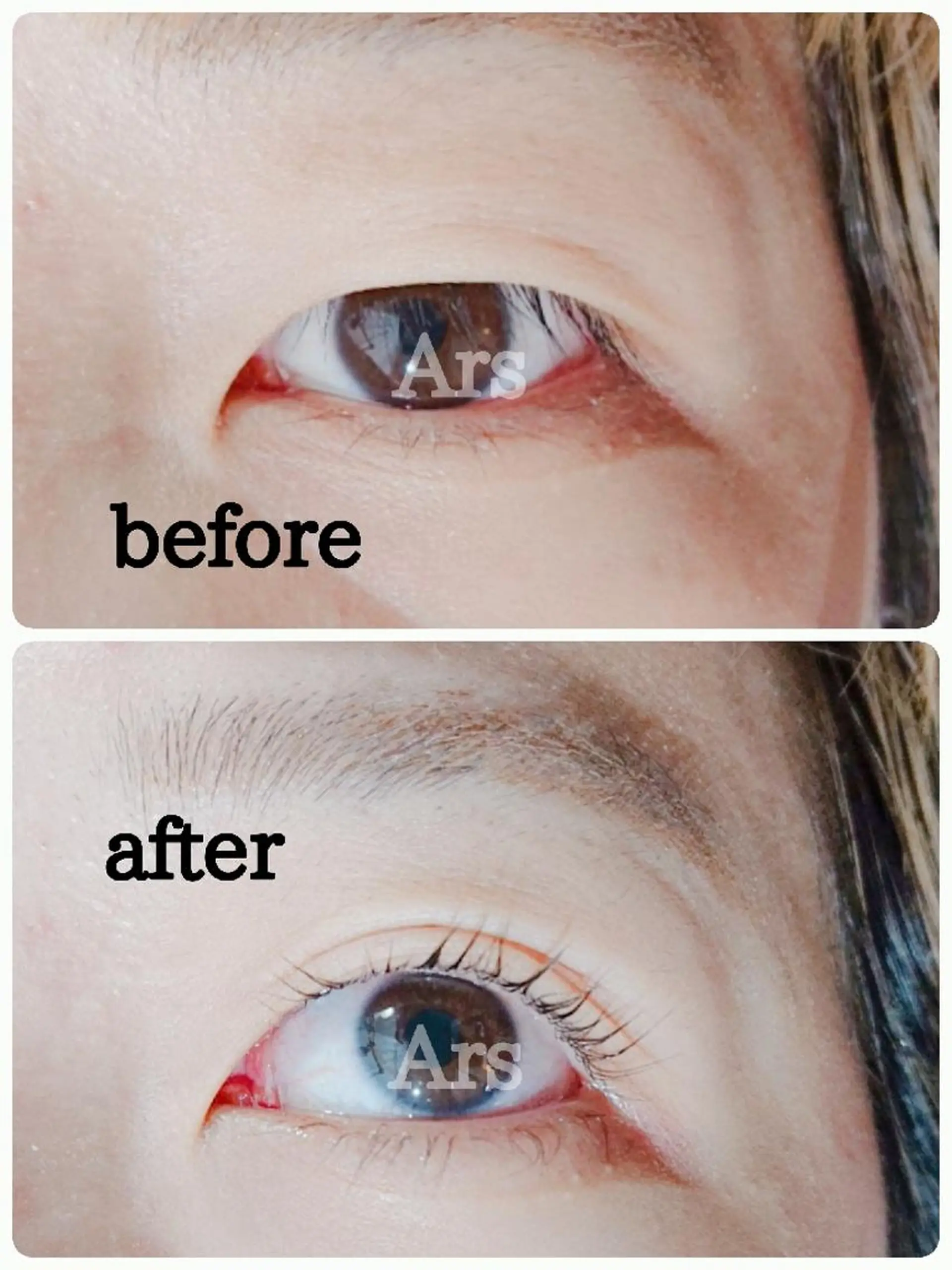 マツエク・マツパ アイリッドアップパーマ Ars      (ｱﾙｽ)のマツエク・マツパデザイン