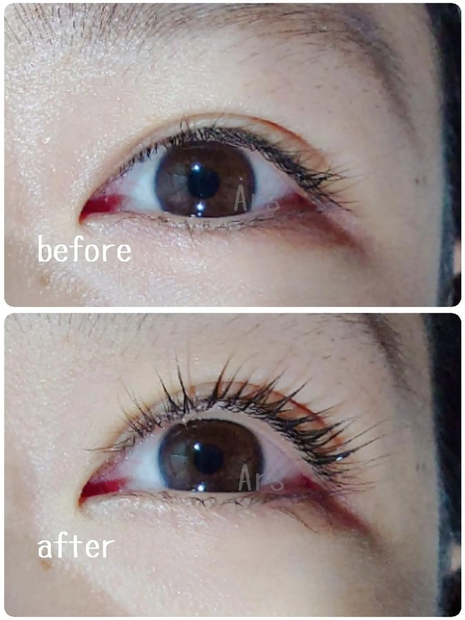 マツエク・マツパ アイリッドアップパーマ Ars      (ｱﾙｽ)のマツエク・マツパデザイン